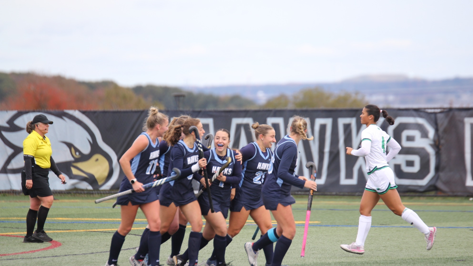 FH ENDICOTT WIN