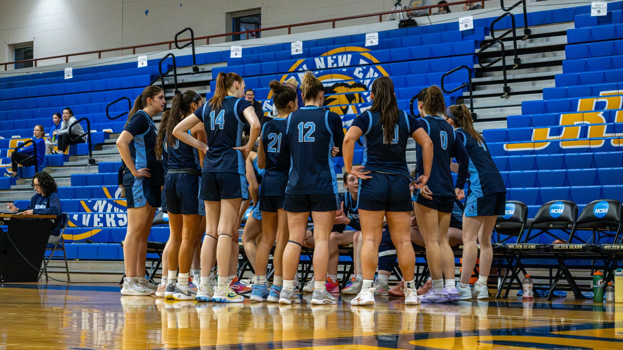 Hawks At WNE - CNE Tournament