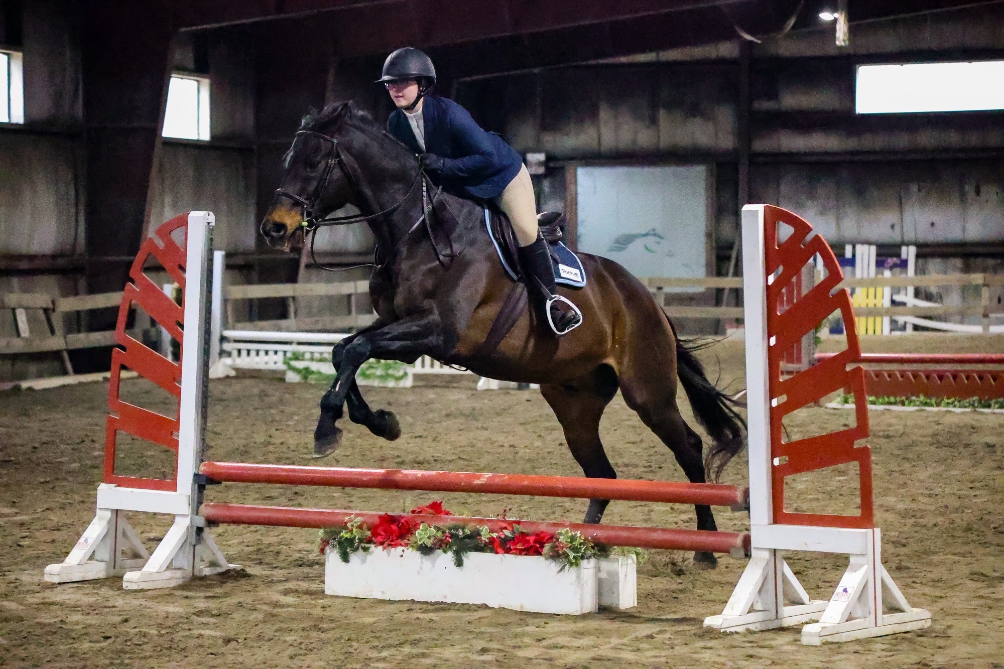 ihsa region 1 zone 1