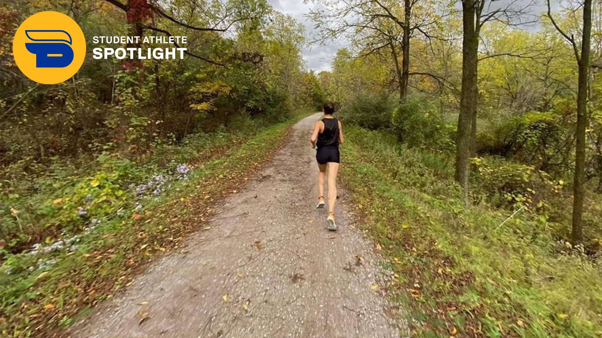 Spotlight: Sofia Beraldo