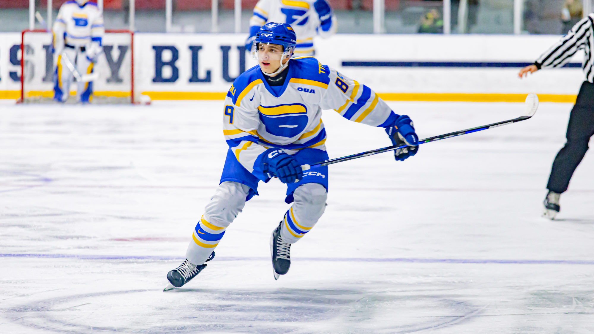 Marko Djordjevic skates on the ice