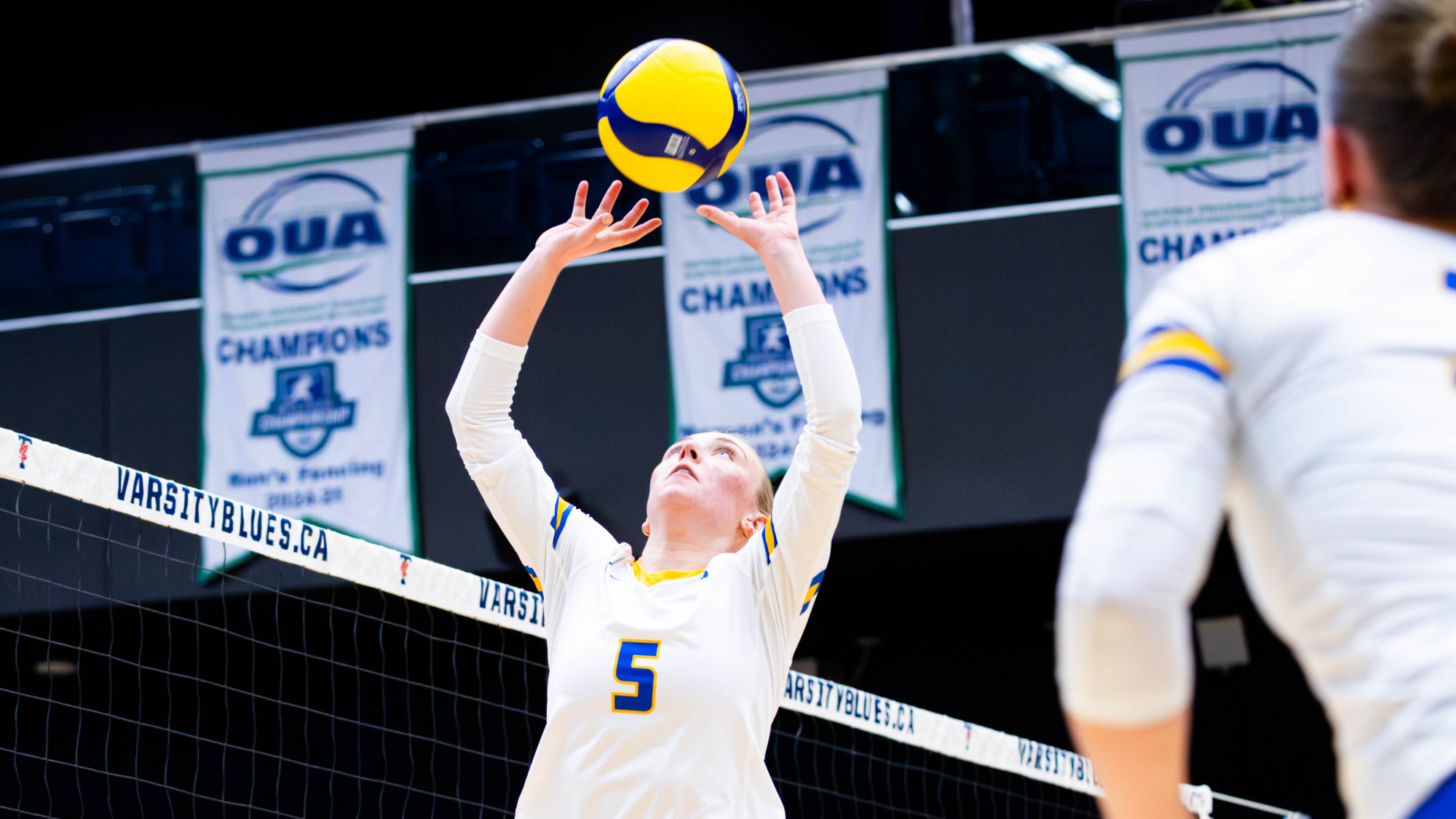 Sadie Bird sets the ball against Toronto