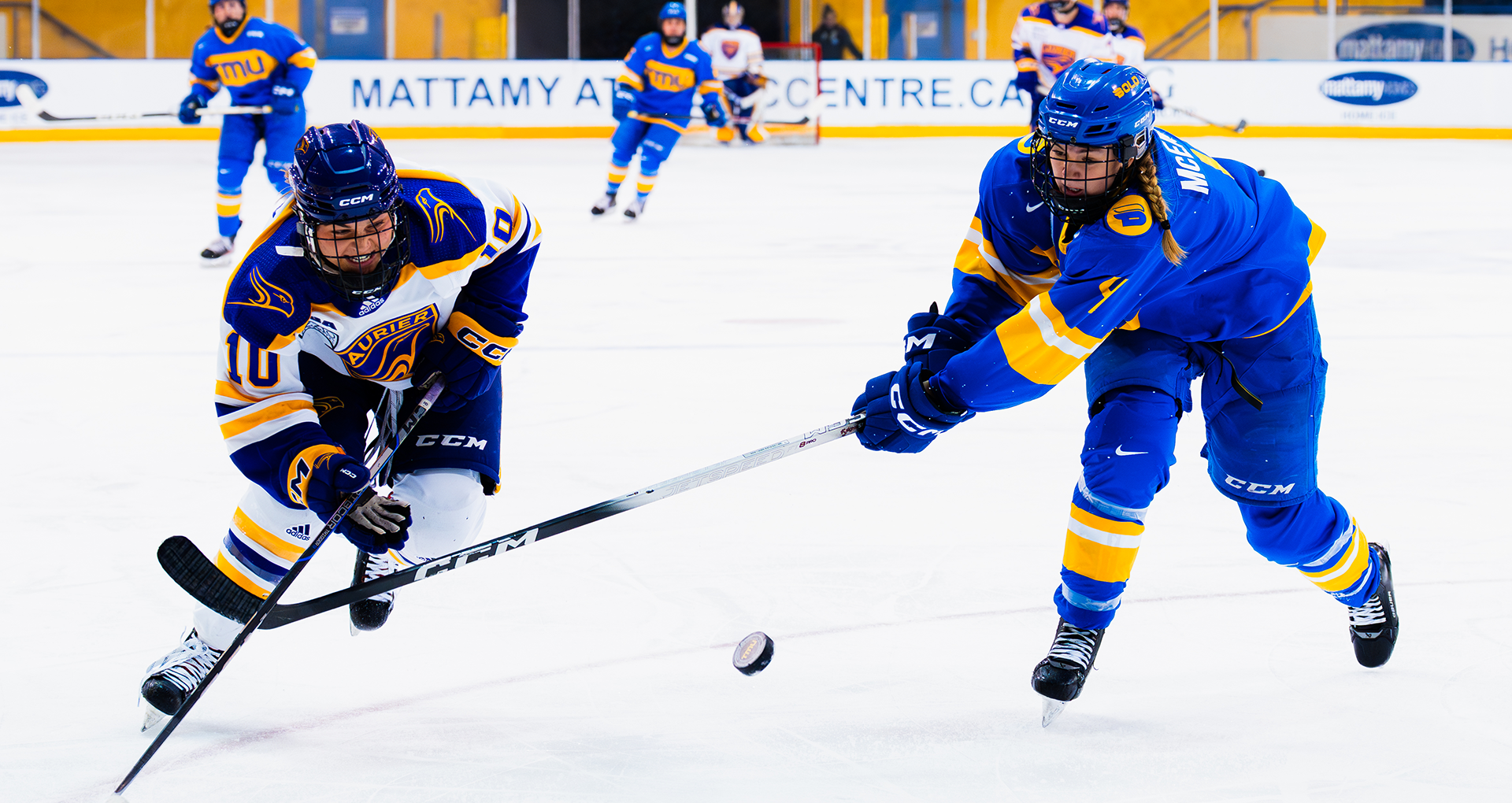 Lauren McEachen battles for the puck against the Laurier Golden Hawks