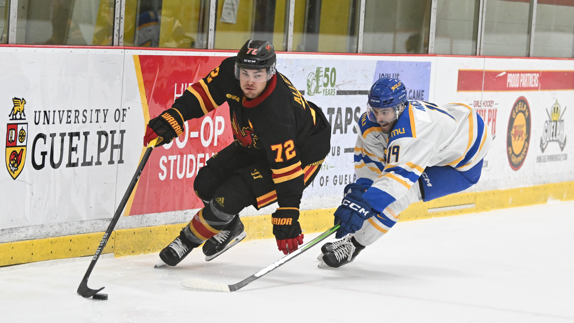 TMU's Brock MacLeod defends against Guelph