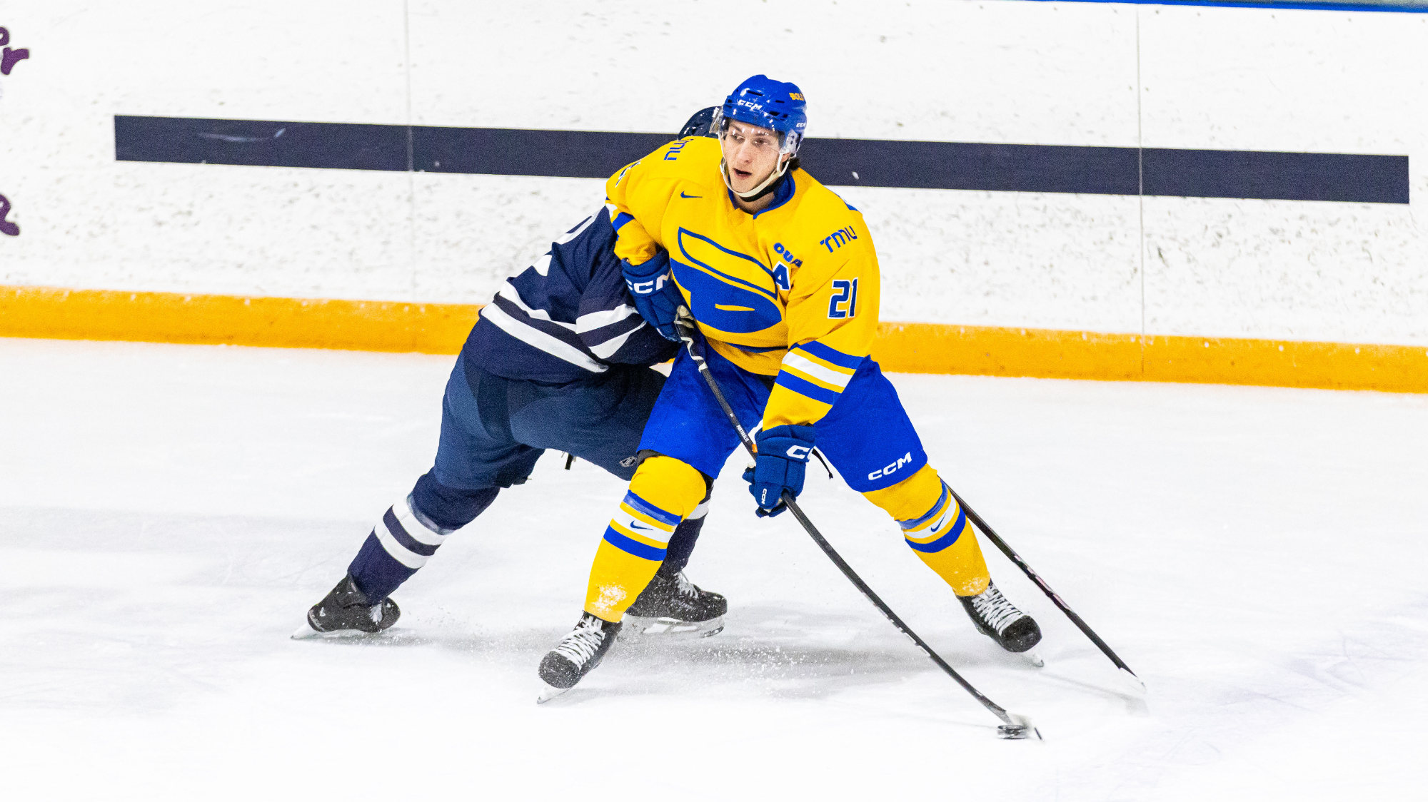 Will Portokalis battles for the puck against Toronto