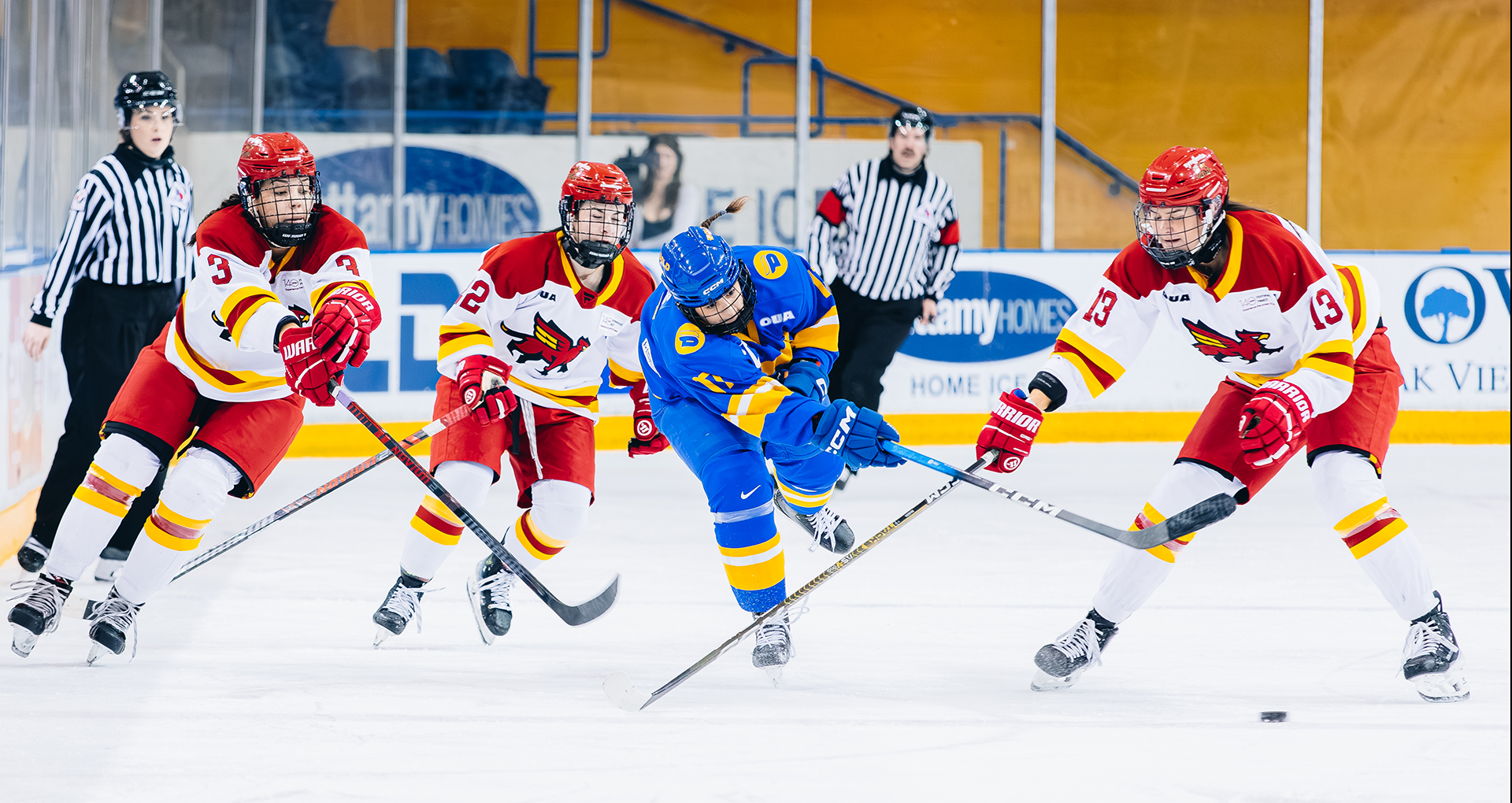 TMU Bold captain Cailey Davis fights for the puck against multiple Guelph Gryphon players. 