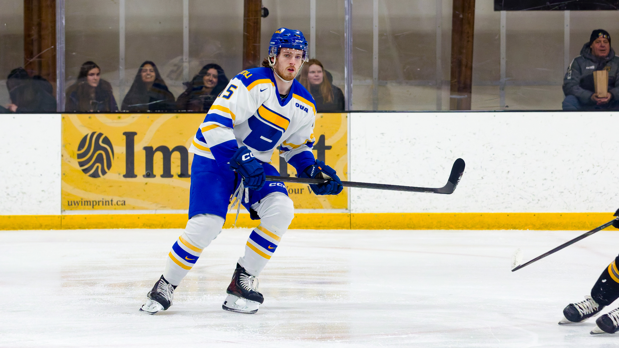Jack Budd skates against Waterloo
