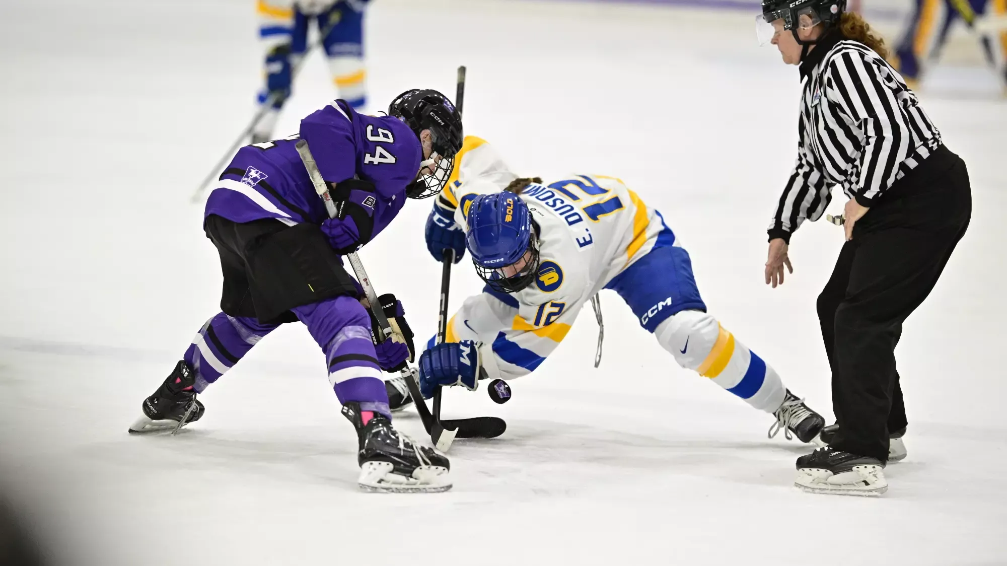 Eden Dusome battles to win the face off against Western