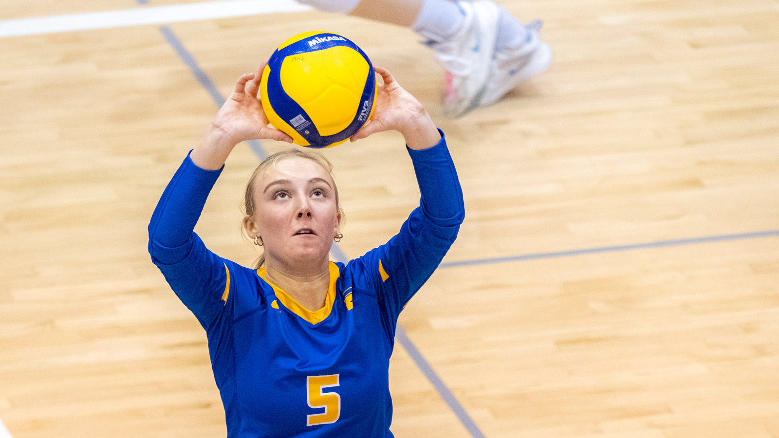 Sadie Bird sets the ball