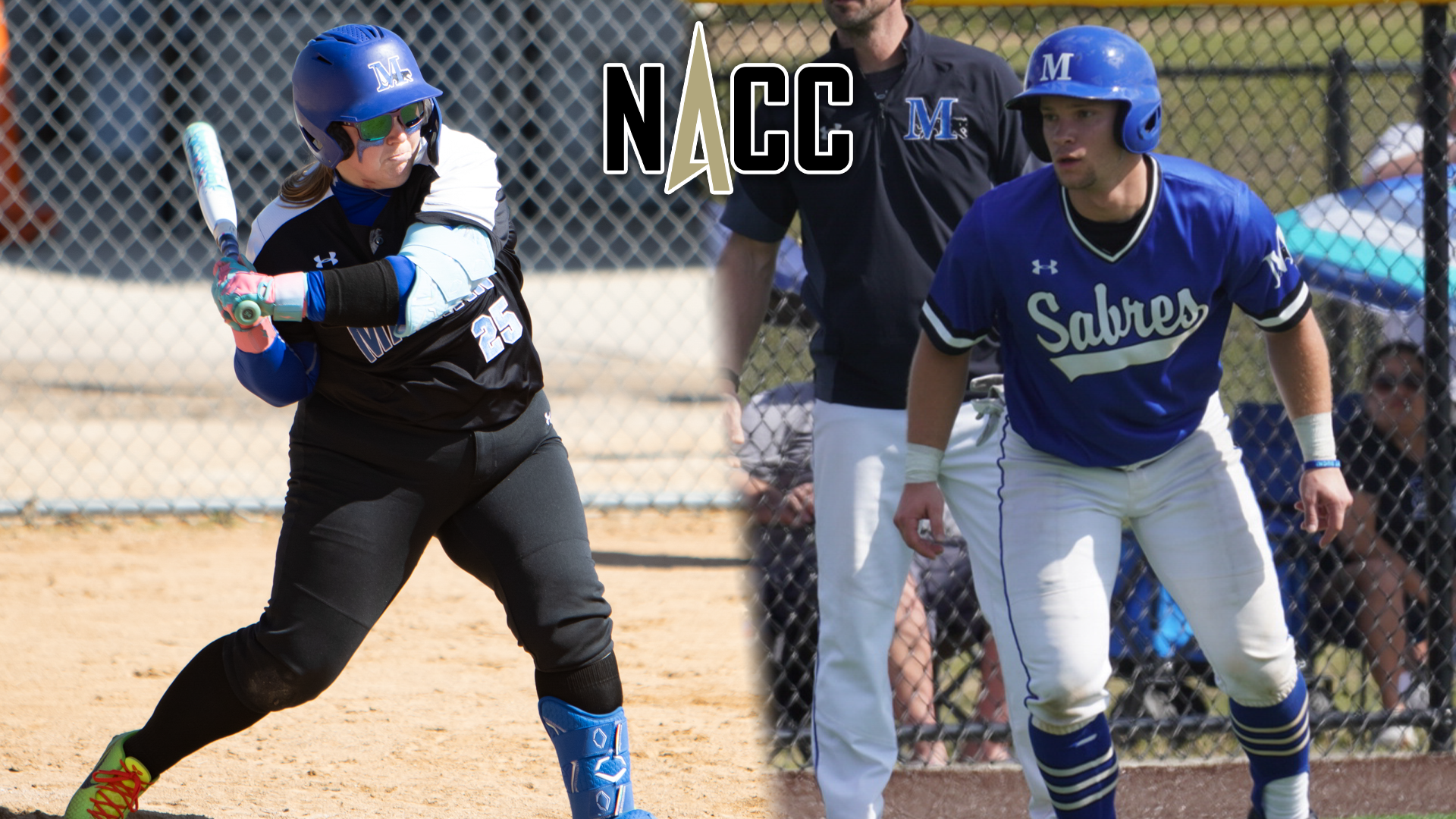 G. Steve Larson finalists graphic