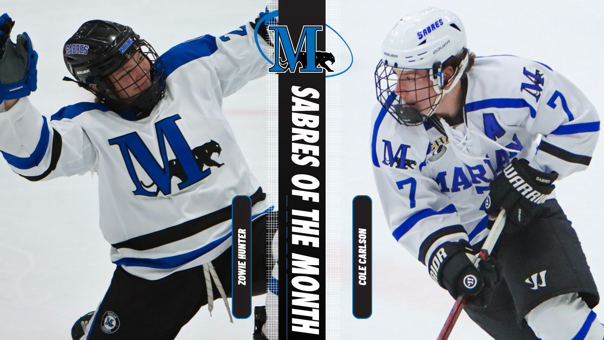 January Sabre of the Month graphics