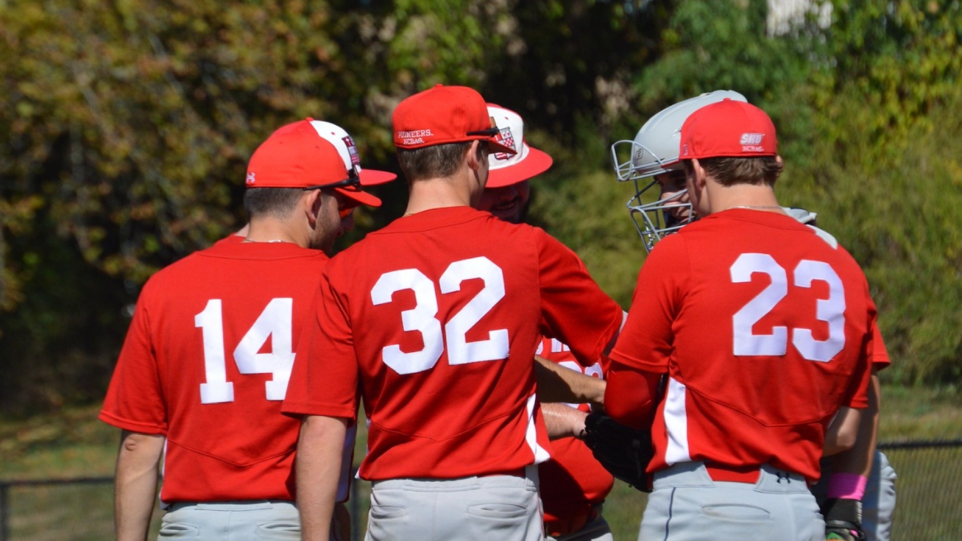 NCBA D3