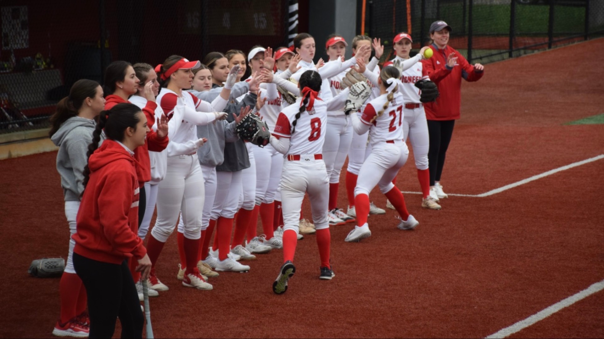 D1 softball