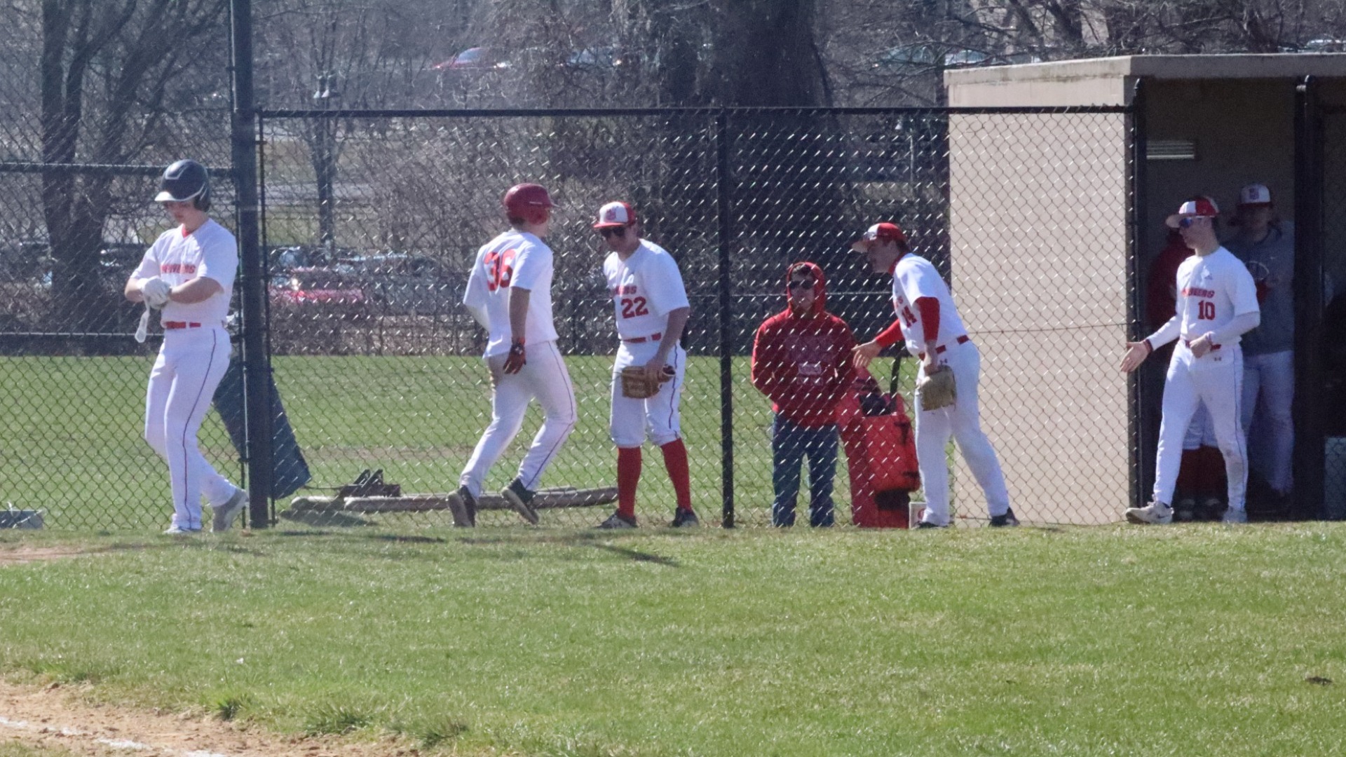 Baseball D3
