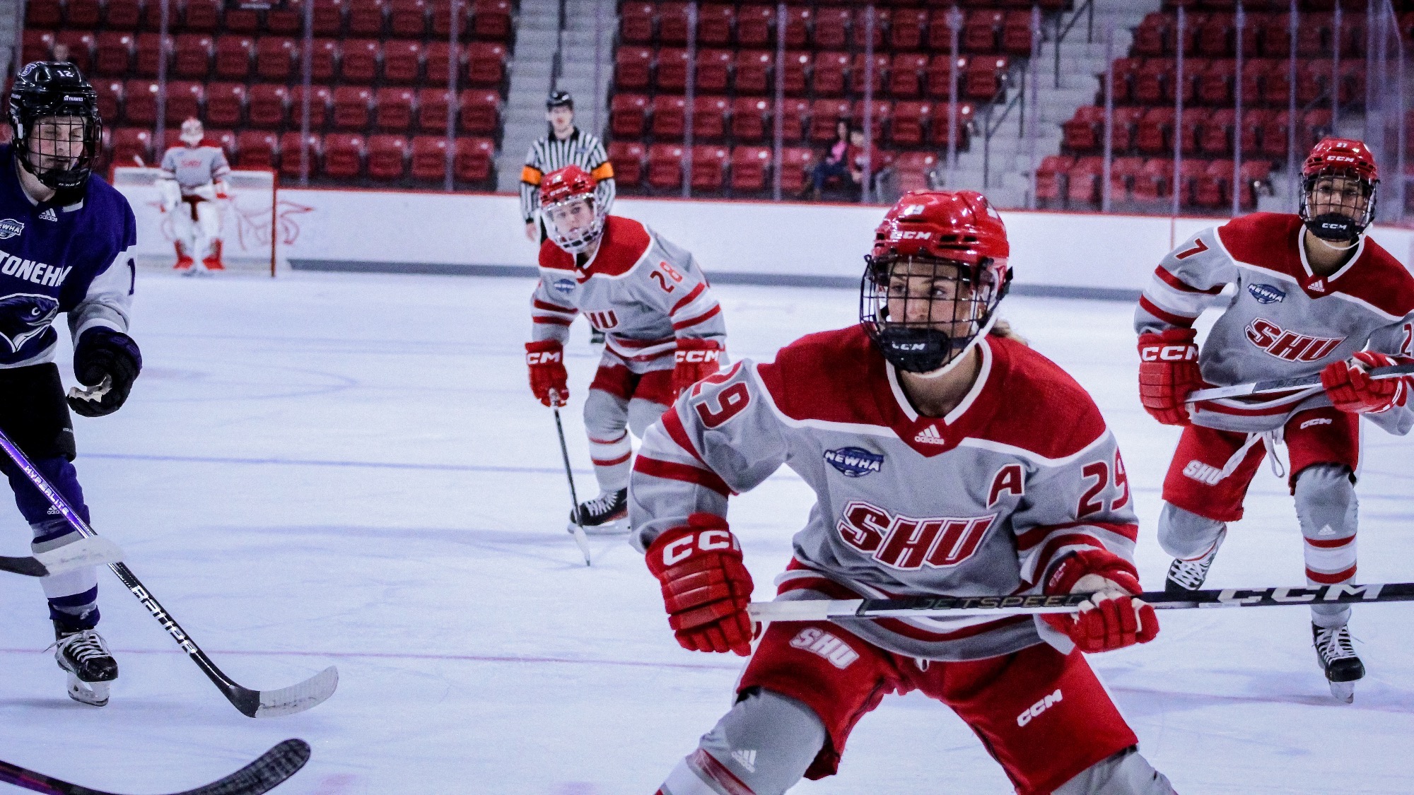 Sydney Antonakis 202324 Women's Ice Hockey Sacred Heart University