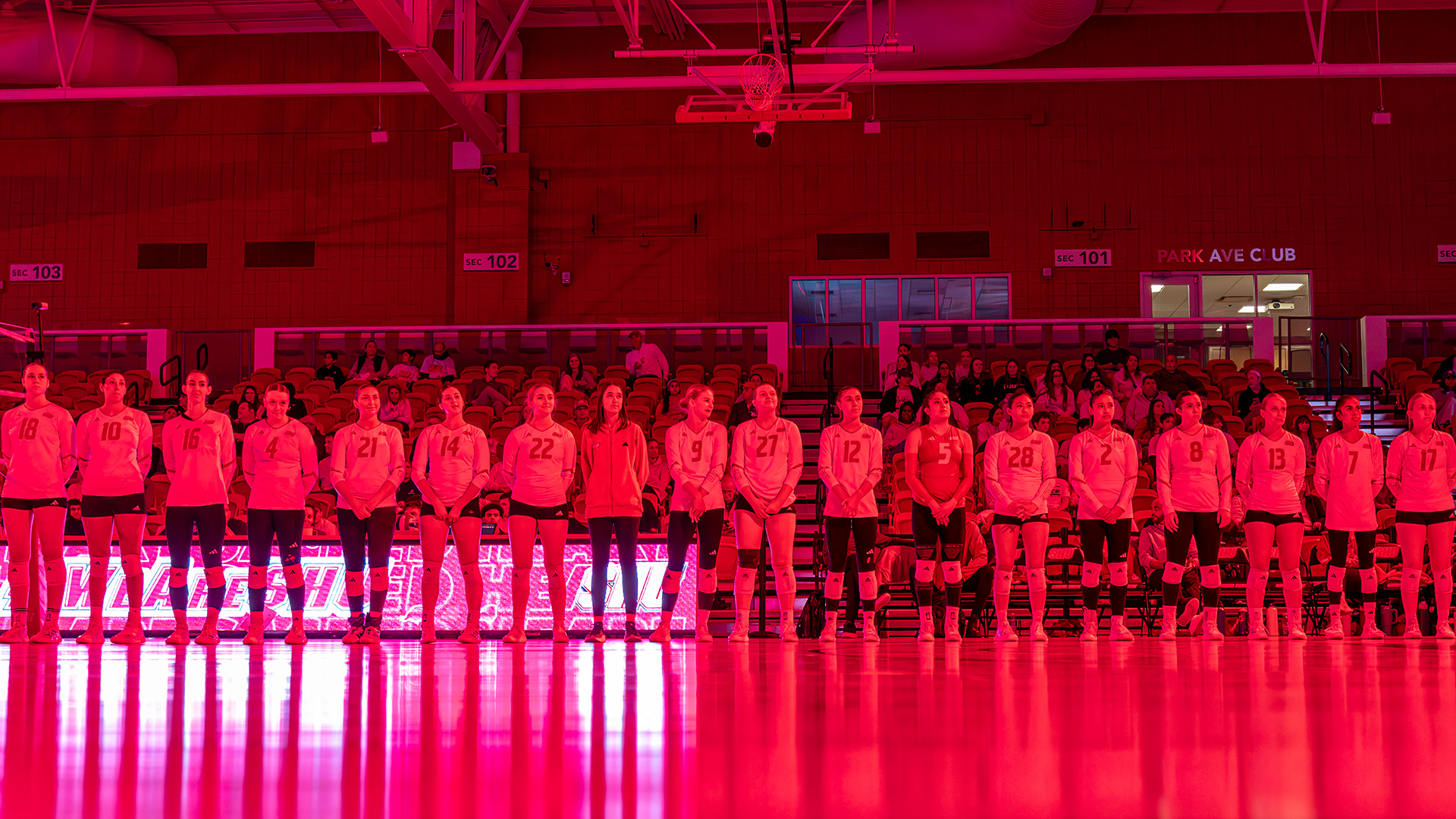 Volleyball Pregame Intros