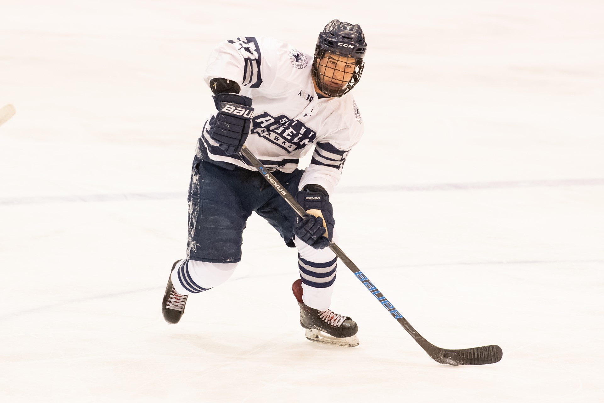 Jeremy Carignan 201819 Men's Ice Hockey Saint Anselm College