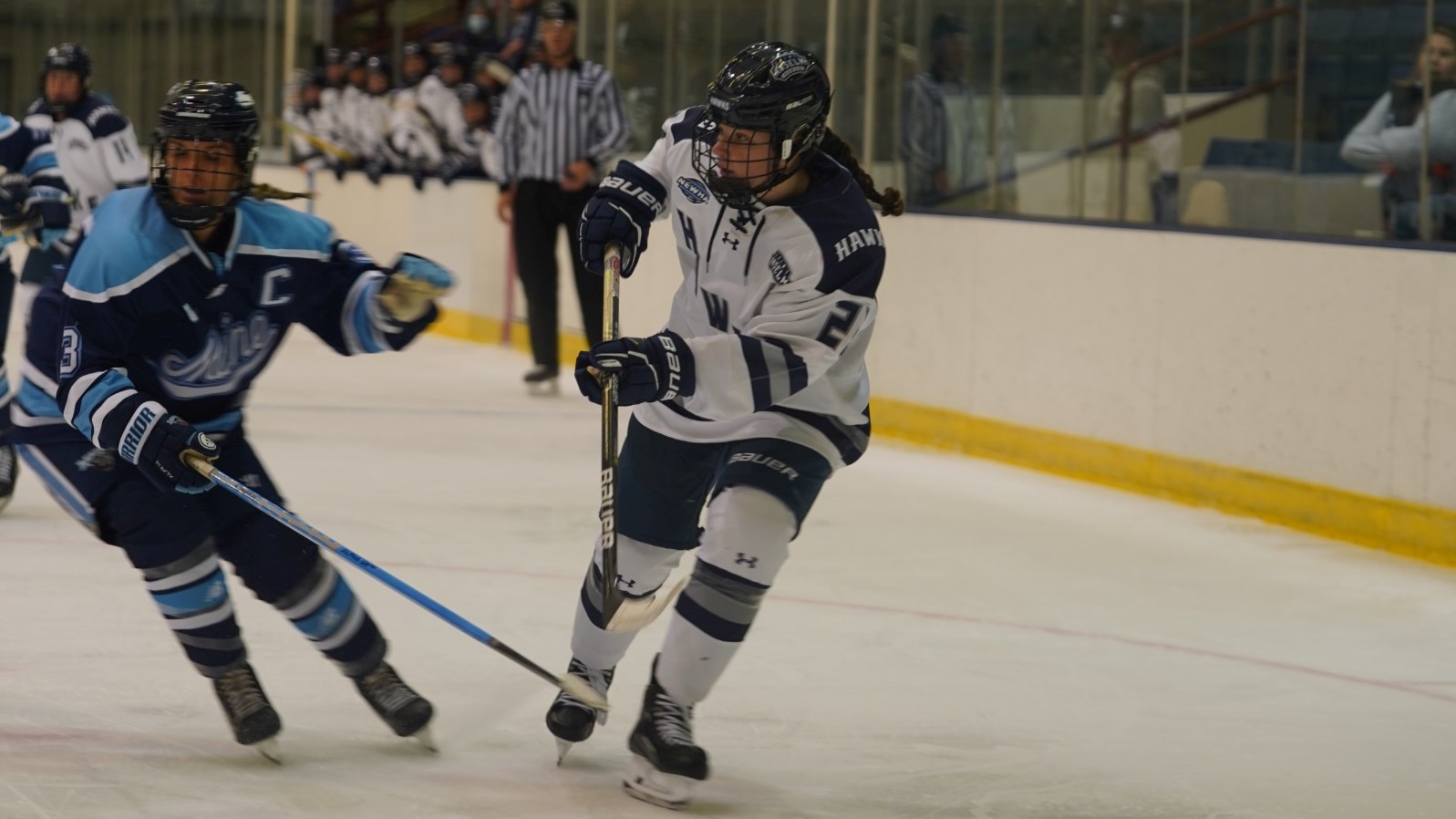 Natalie Tulchinsky 202324 Women's Ice Hockey Saint Anselm College