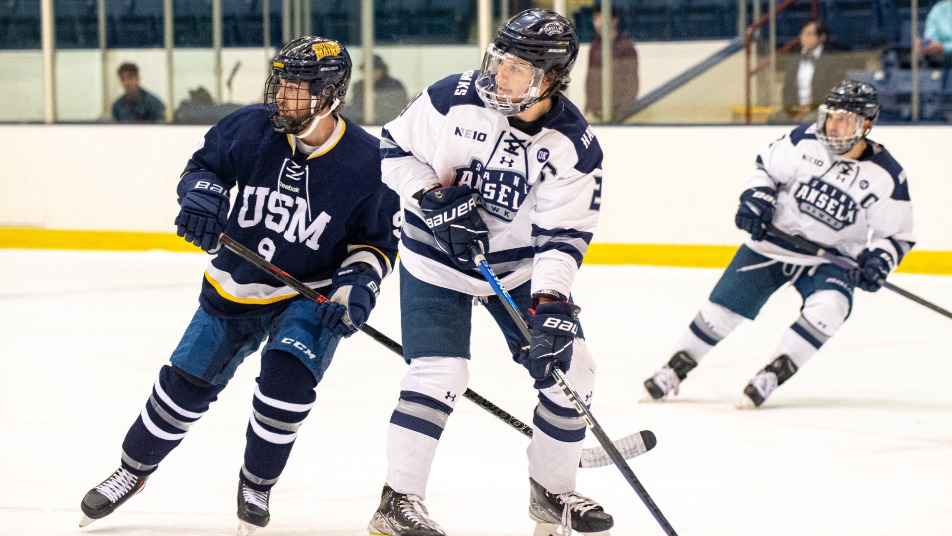 Matt Hayes 202223 Men's Ice Hockey Saint Anselm College