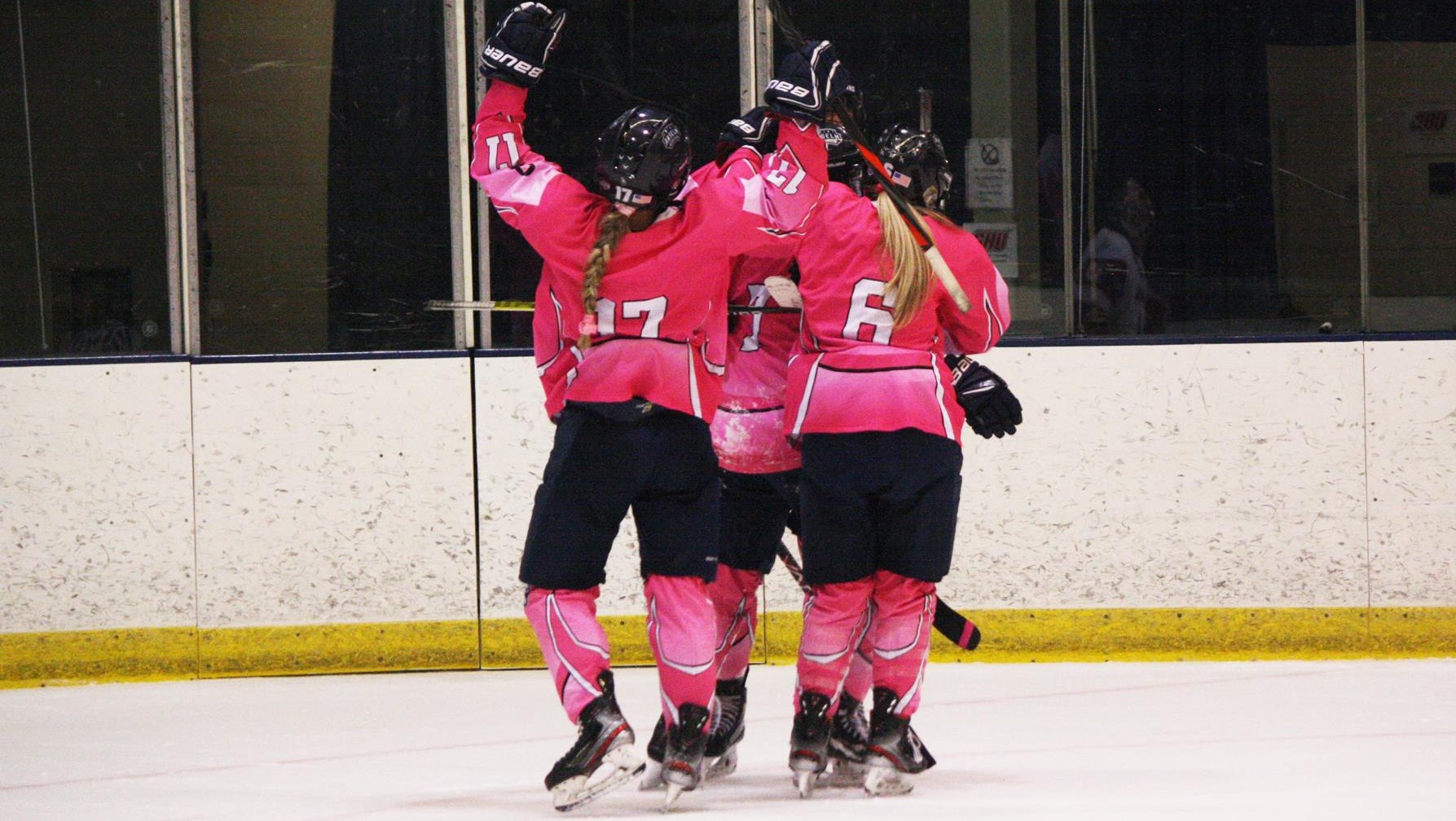 Women's ice hockey blanks Sacred Heart, 30 Saint Anselm College