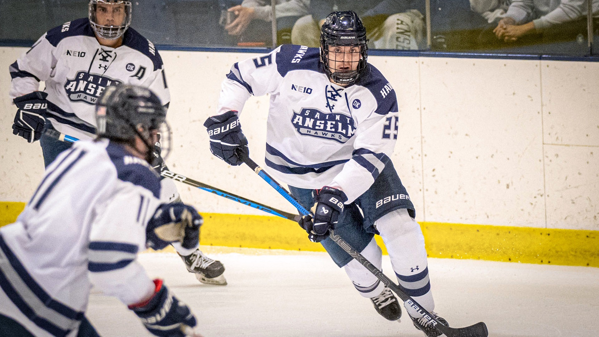 Alex Hoitt 202324 Men's Ice Hockey Saint Anselm College