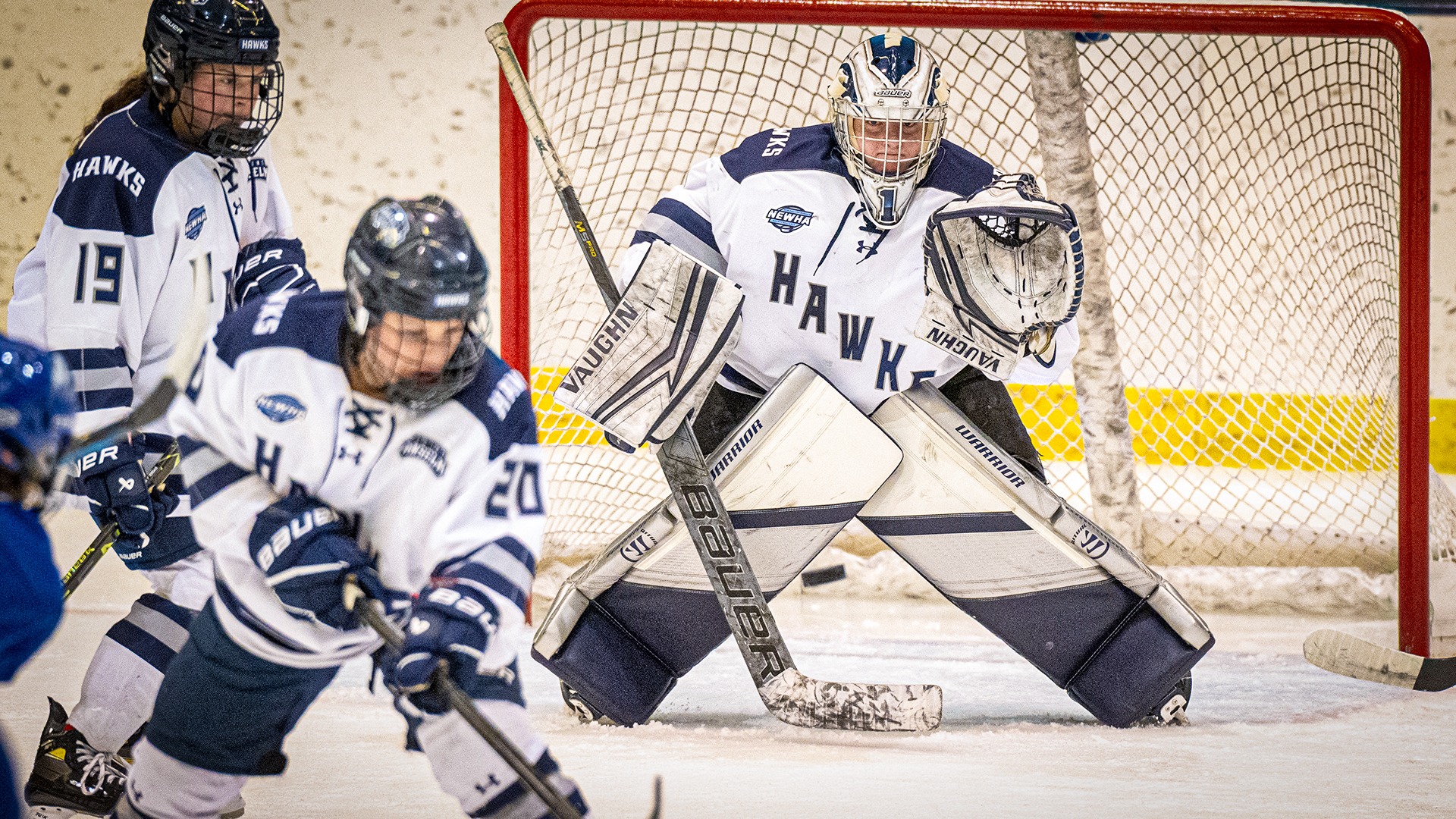 Women’s Ice Hockey Eases Past Post, 30 Saint Anselm College