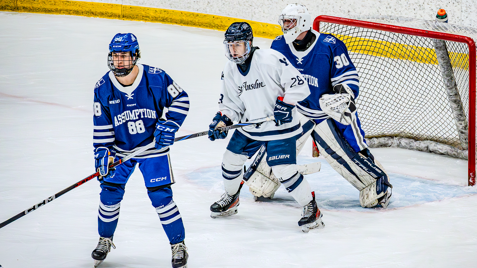 Luke Linart in front of Assumption's crease