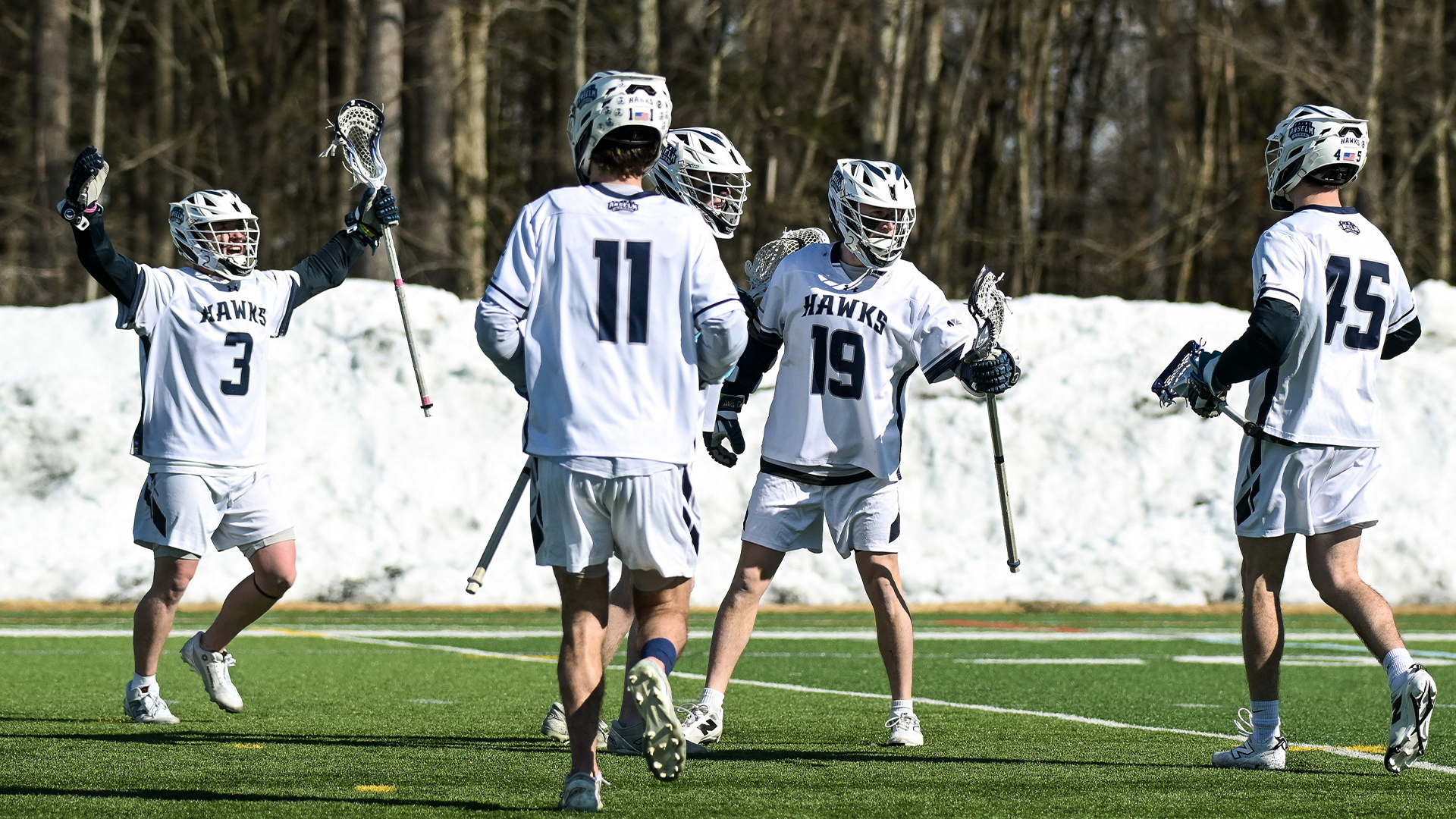 Men's lacrosse players celebrate goal