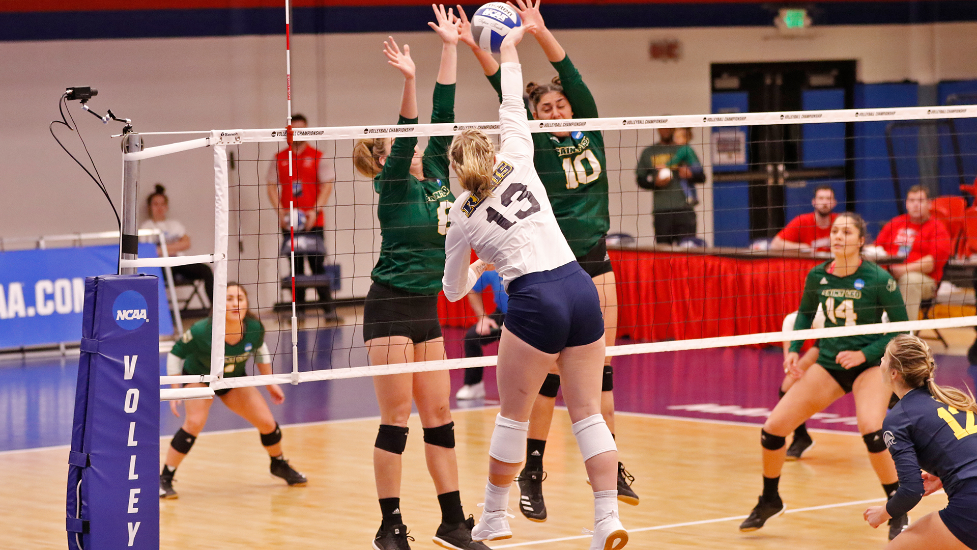 anna-garrett-women-s-volleyball-saint-leo-university-athletics