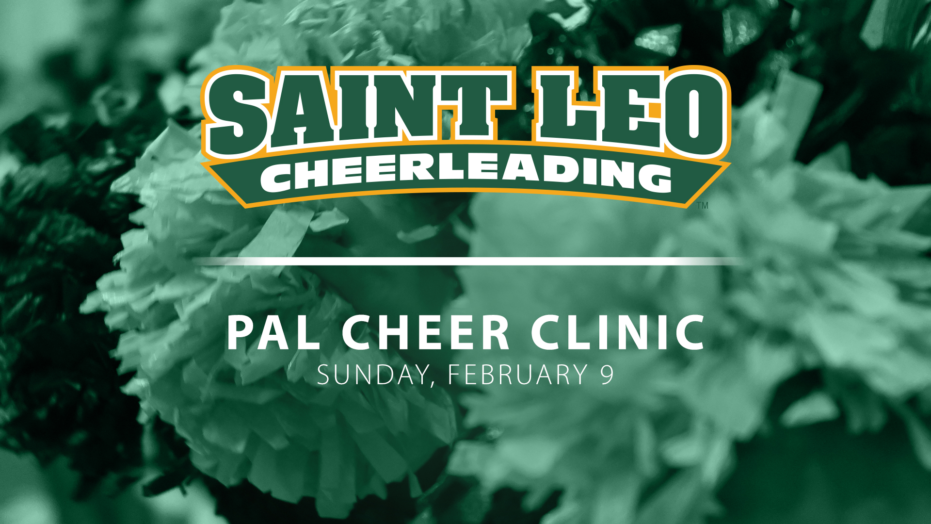 Cheer Clinic Graphic