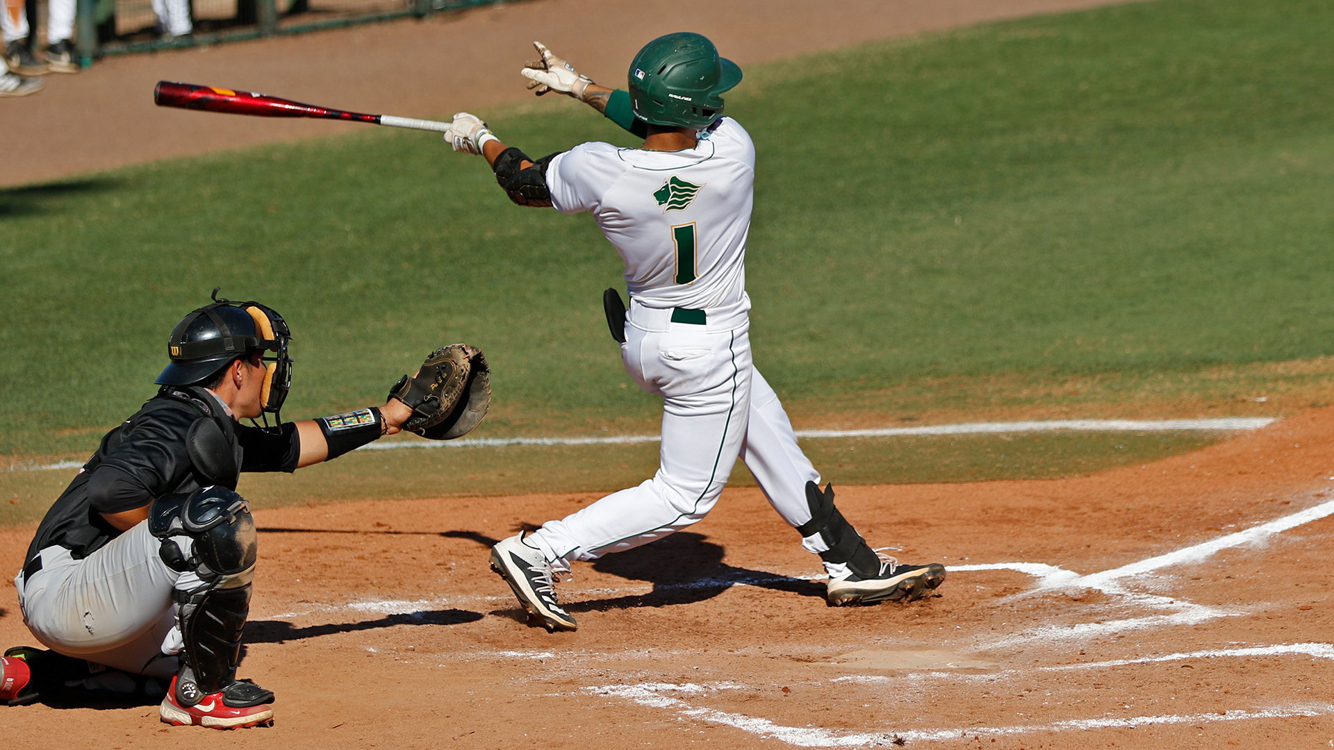 Yazael Nunez Baseball Saint Leo University Athletics