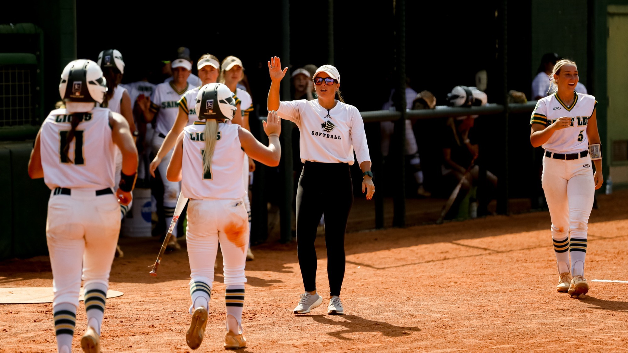 Saint Leo Softball Fall on Day Two of the NCAA South Regional Despite Strong Push Saint Leo