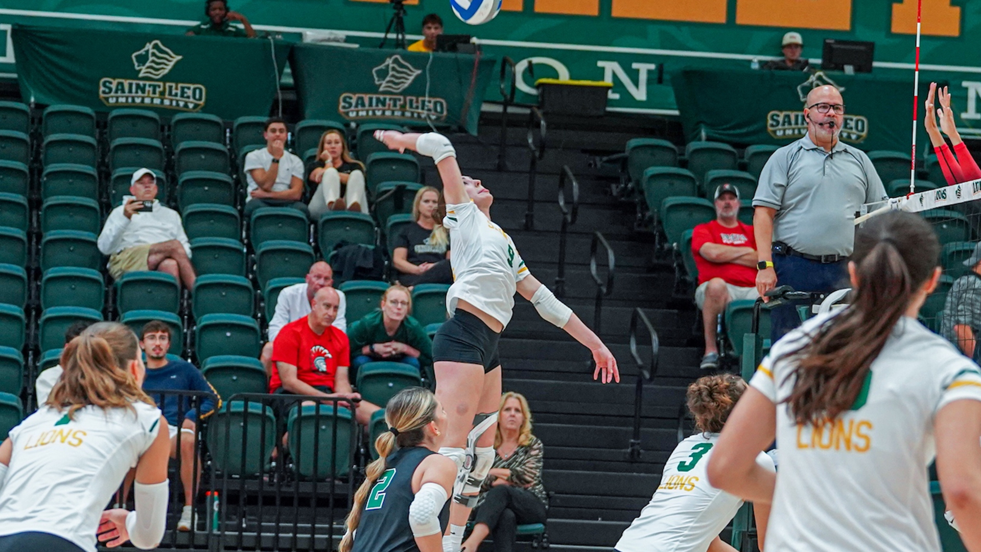 VB_Chappell_Tampa_1118525_Hayeck