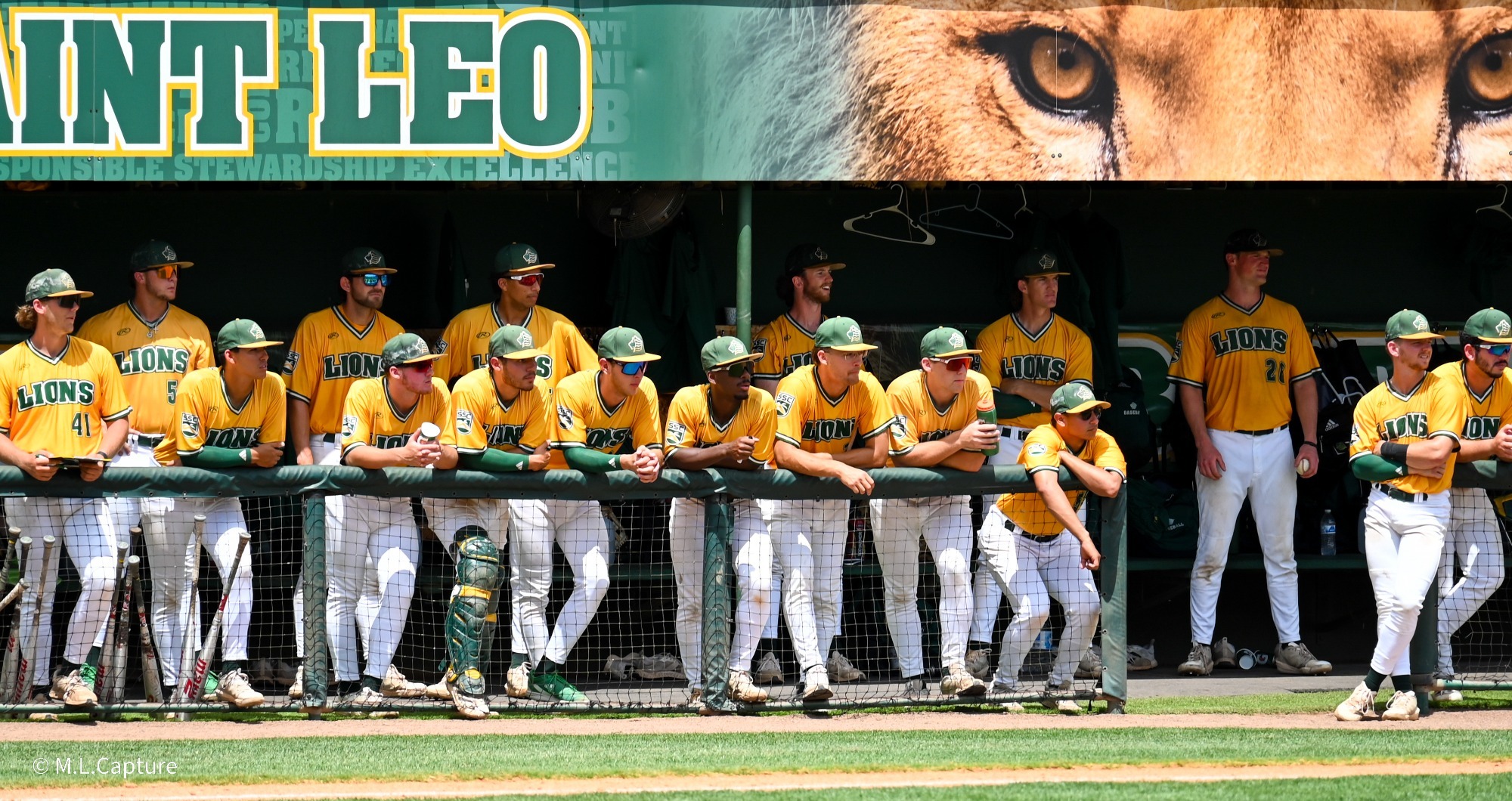 Baseball Gold jersey dugout