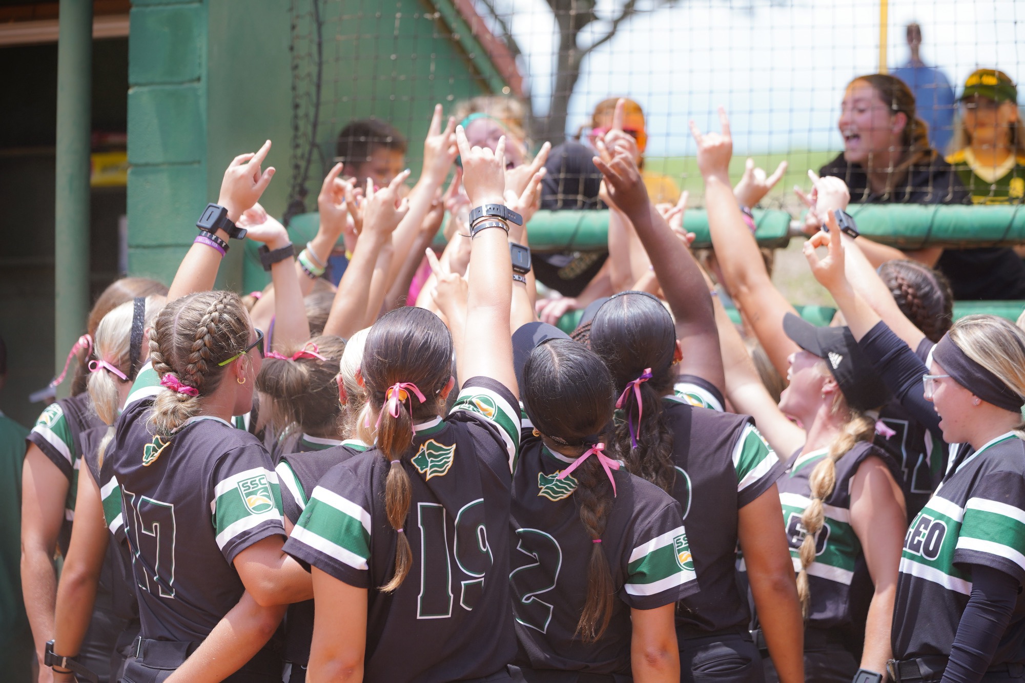 The Lions celebrate together.