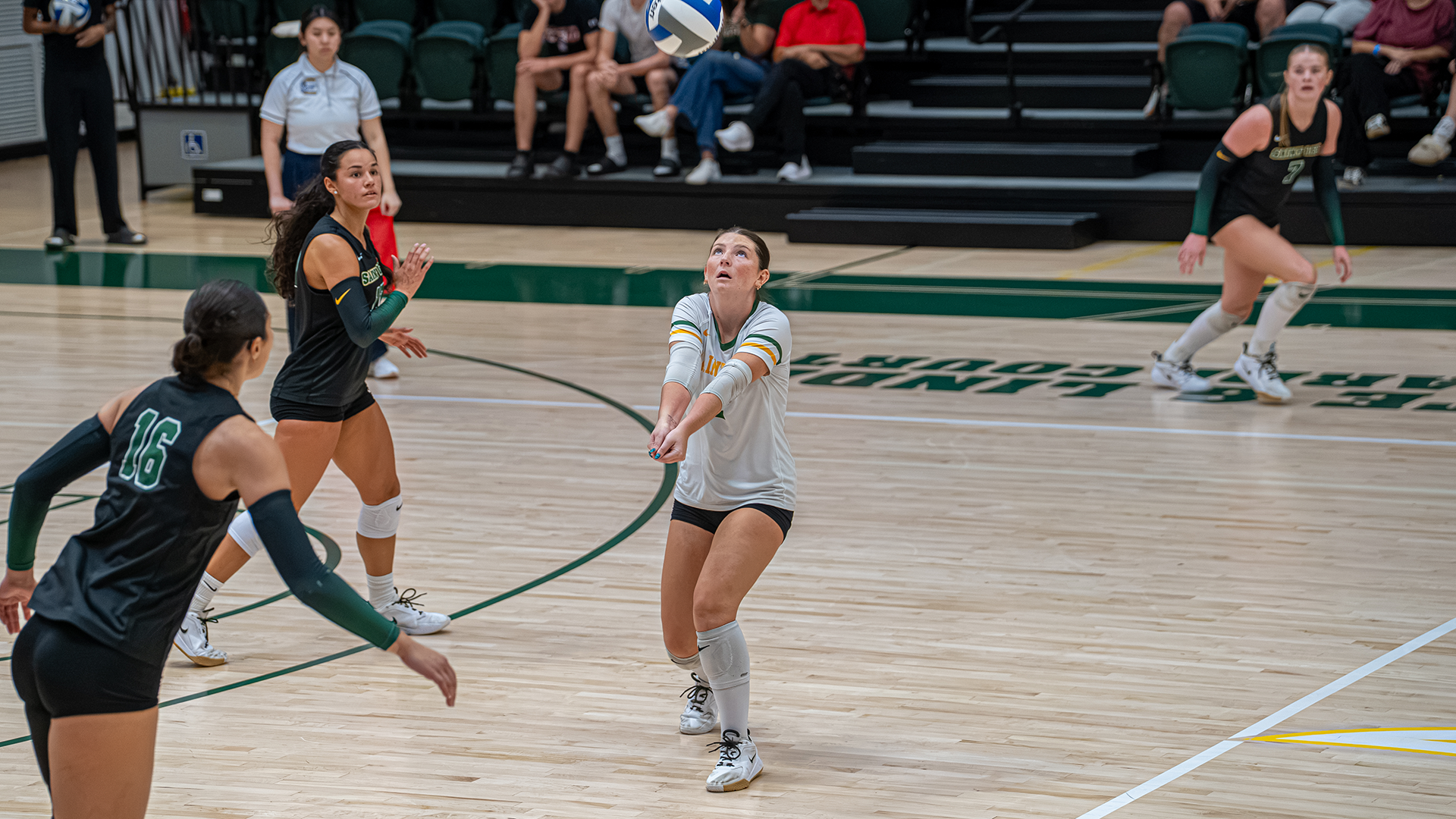 Mia Moser digs the ball versus Eckerd