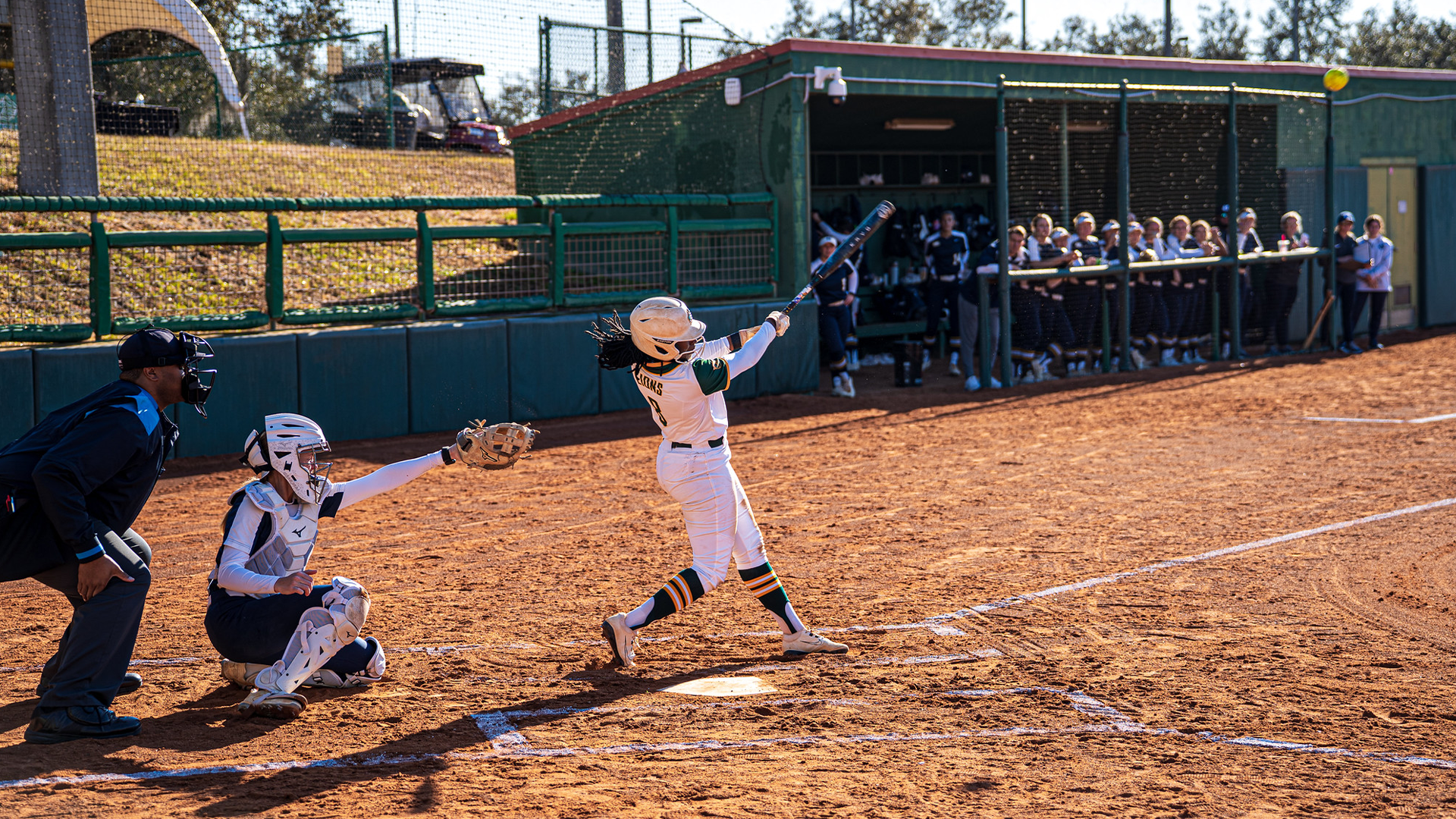 SB_Neal_MC_020726_Hayeck