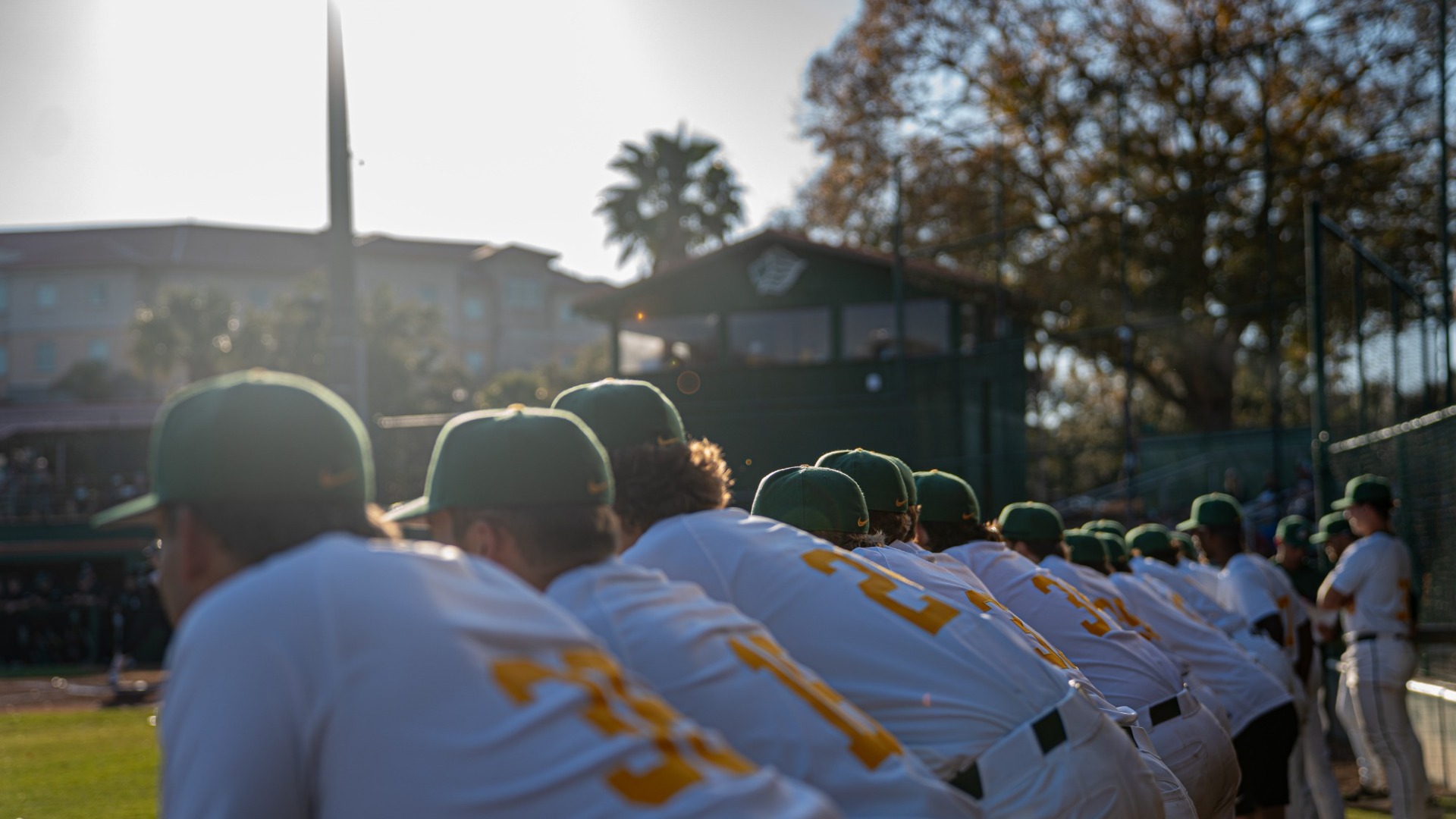 2026 Baseball Dugout