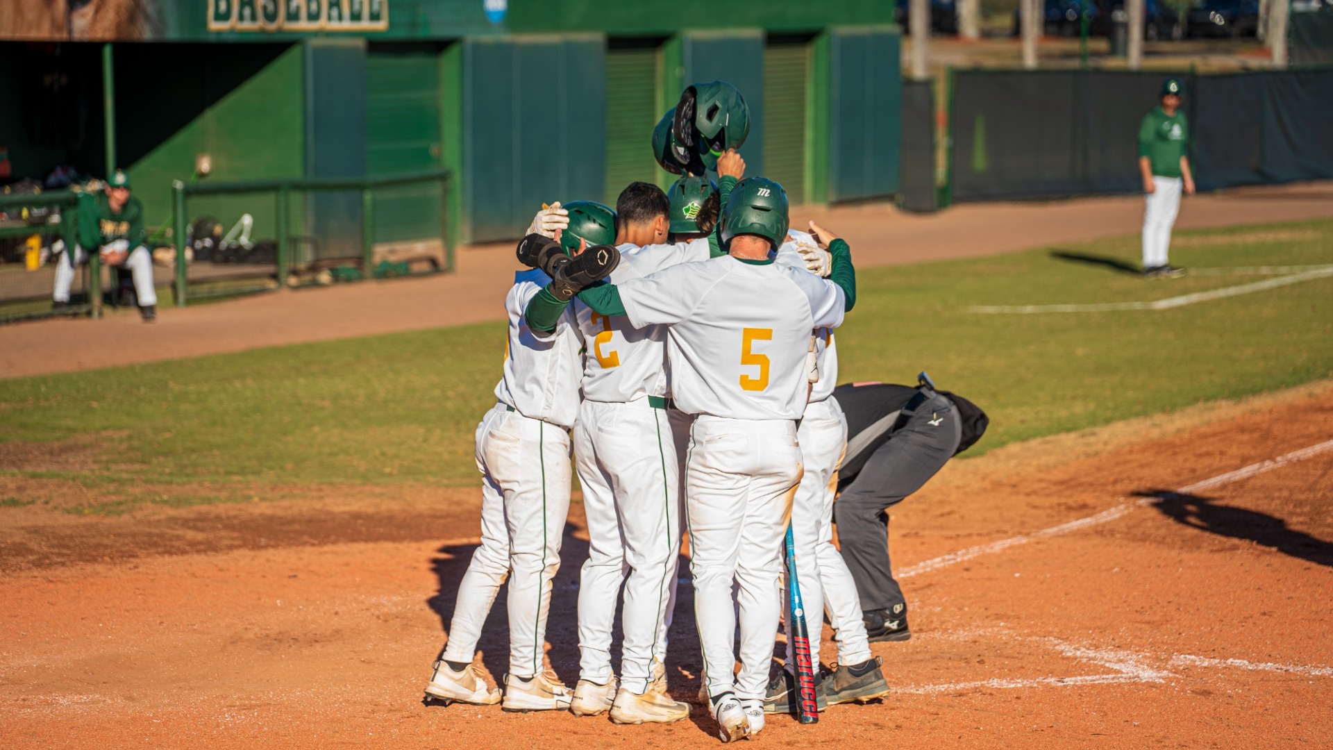 Baseball Team Huddle 2026