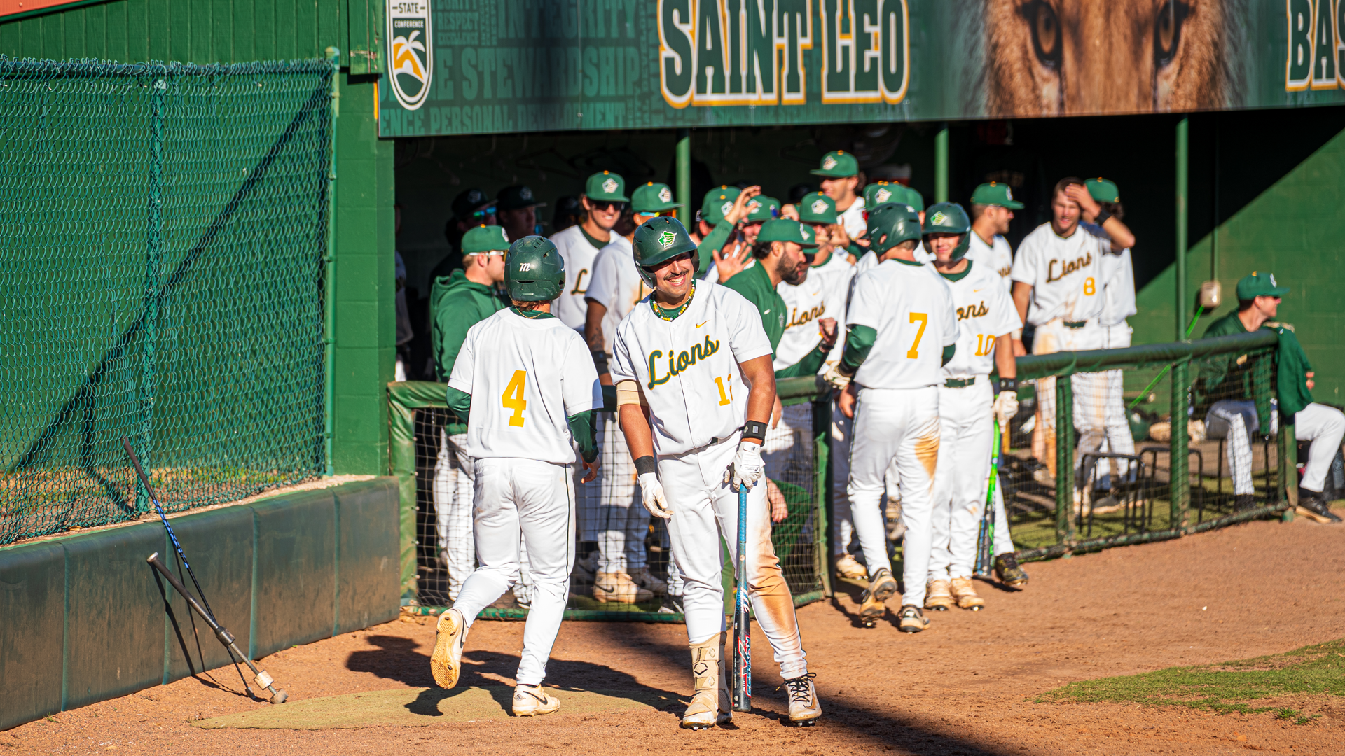 2026 Baseball Dugout