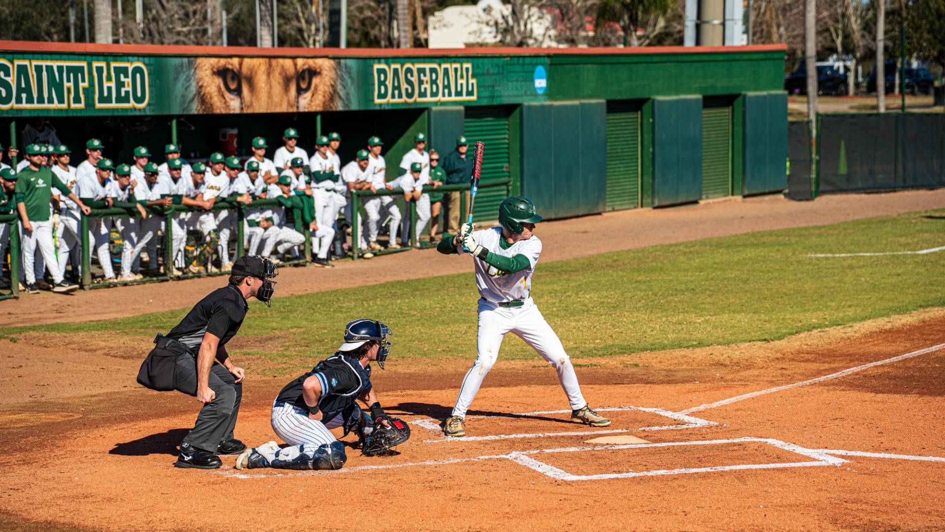 Baseball at bat 2026