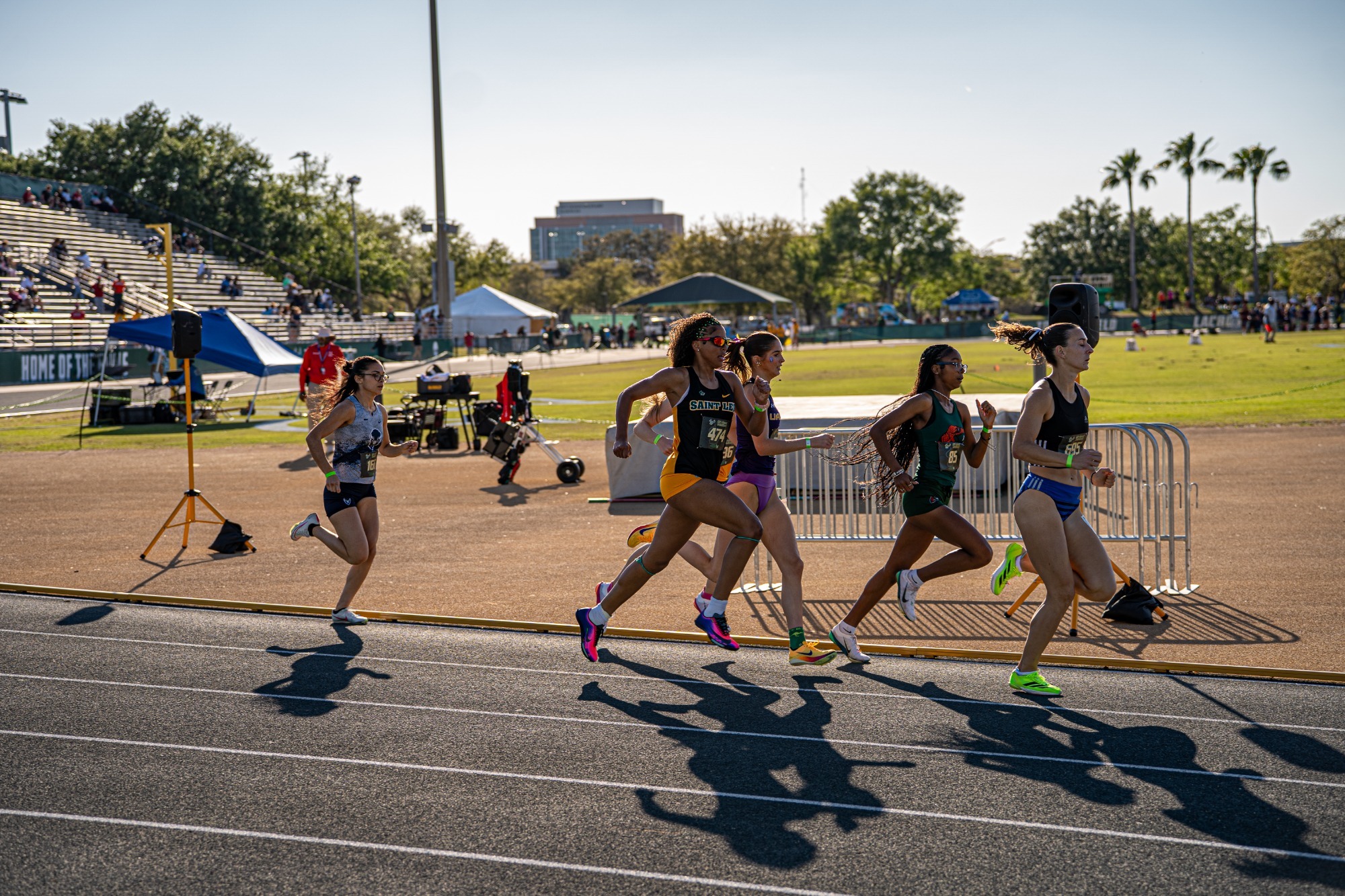 Dackjerlin Senior Feliz