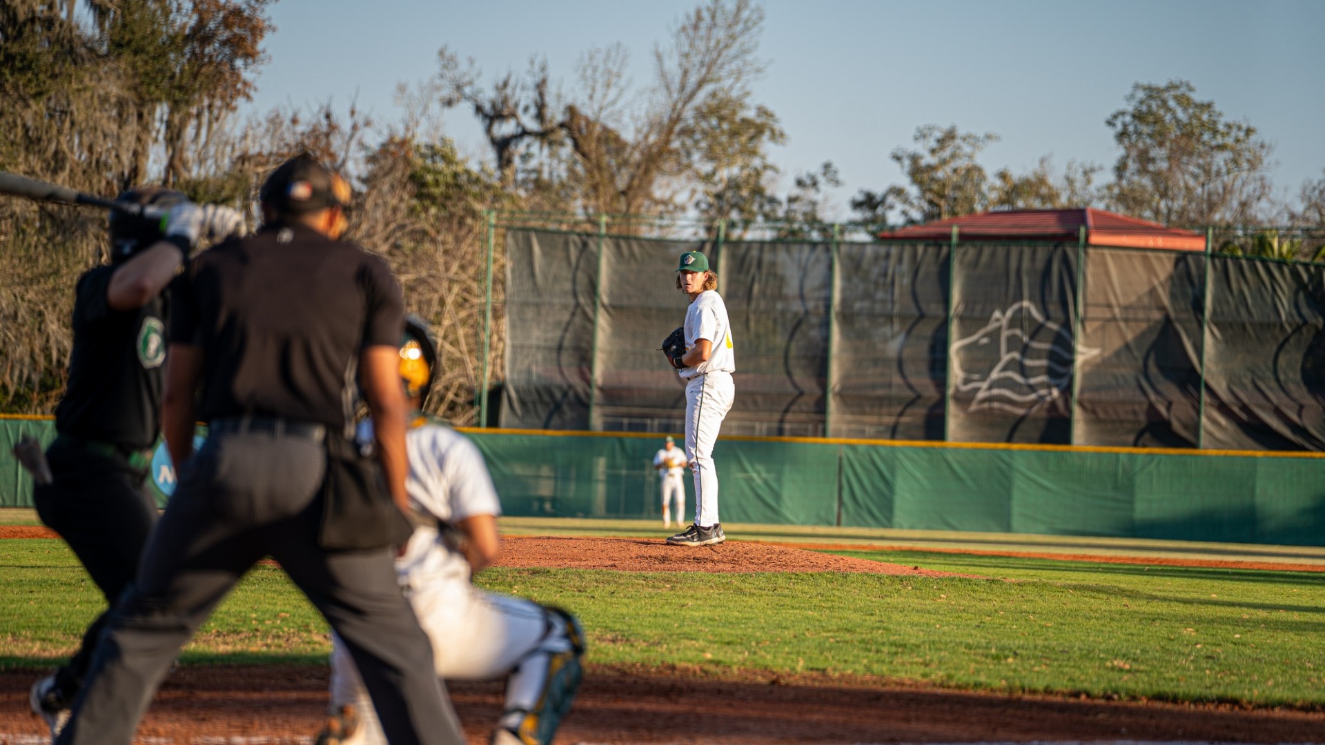 Howard Flynn Pitching 2026