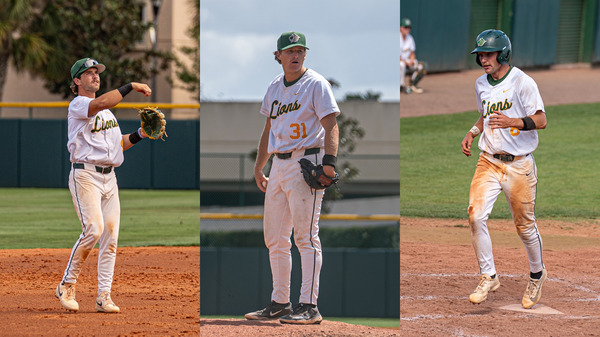 Baseball Postseason D2CCA