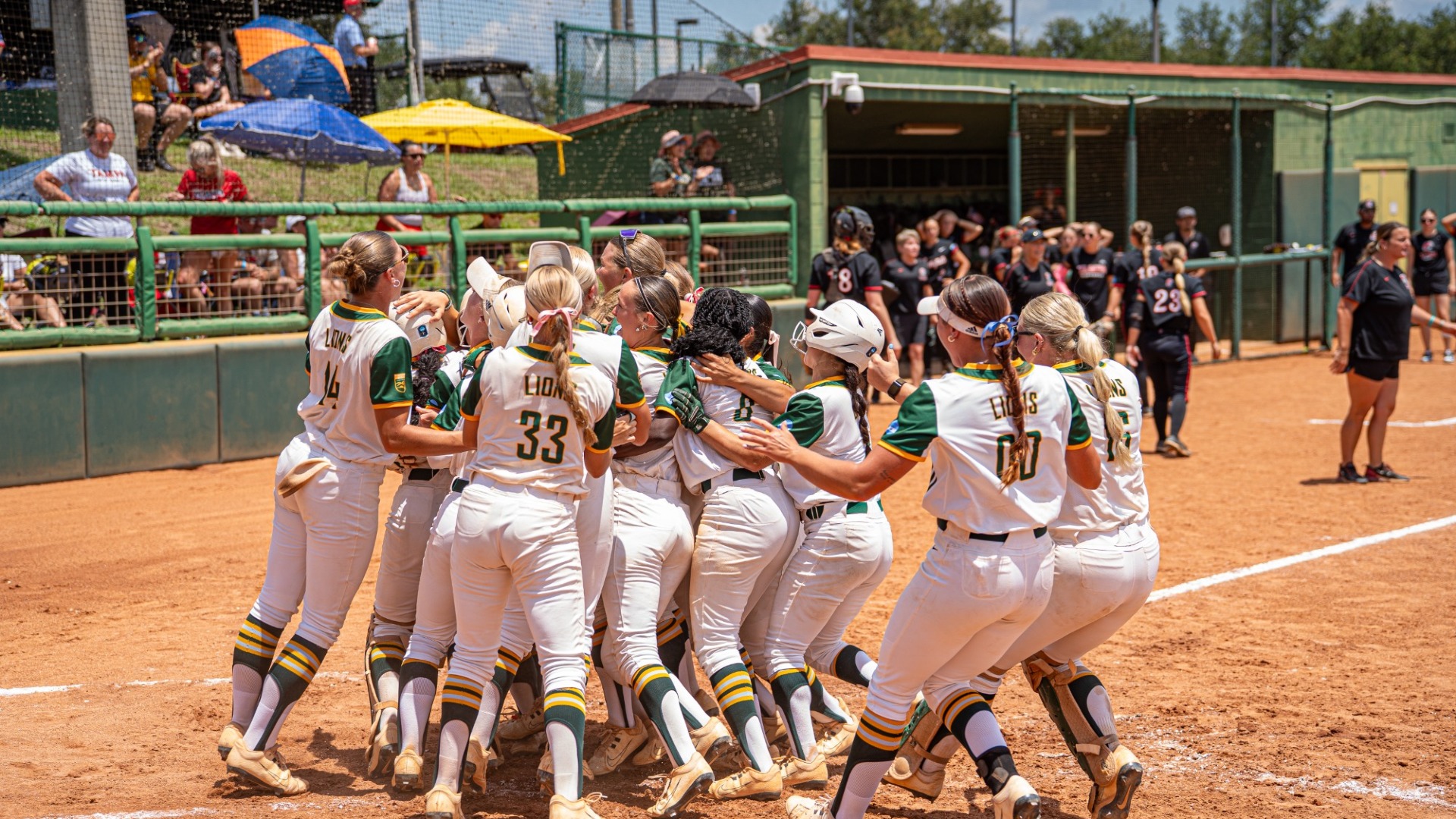 2026 Softball Regional
