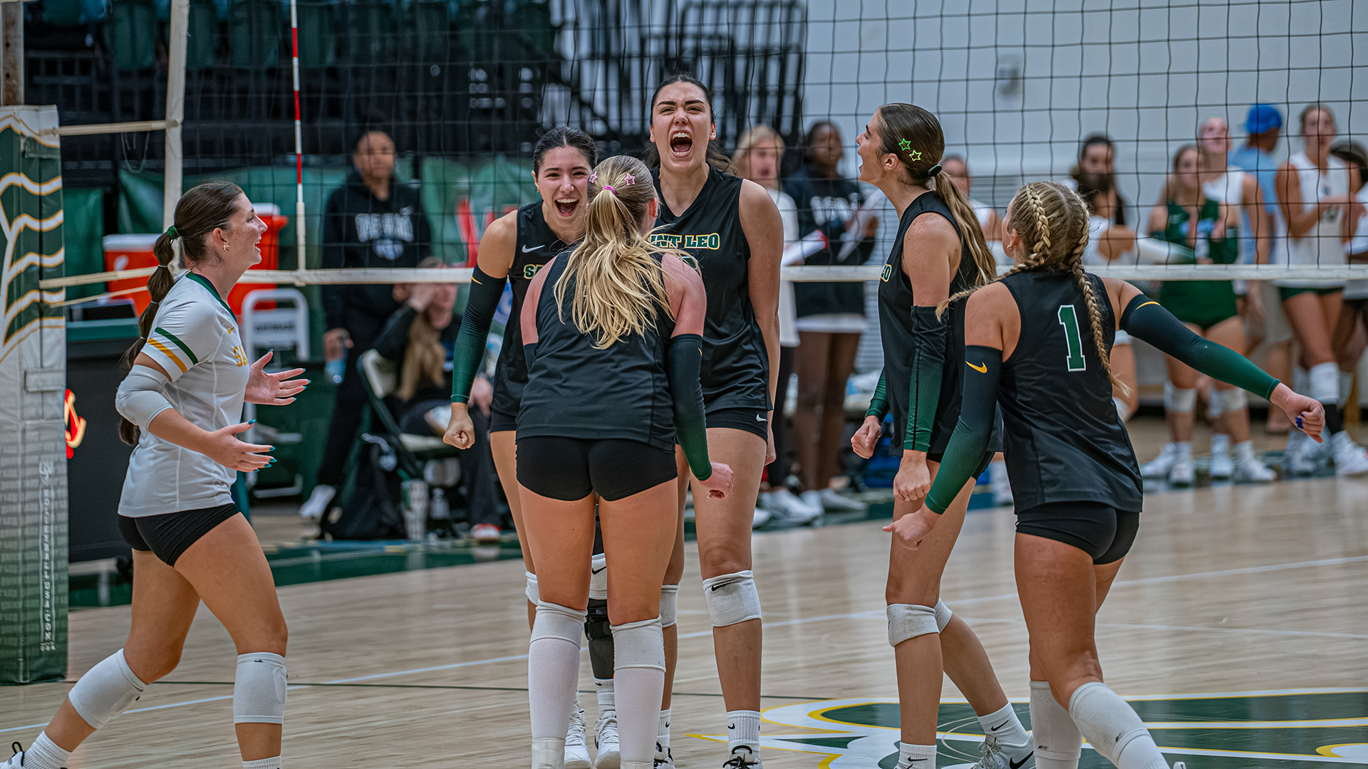 The Lions celebrate a point versus Georgia College