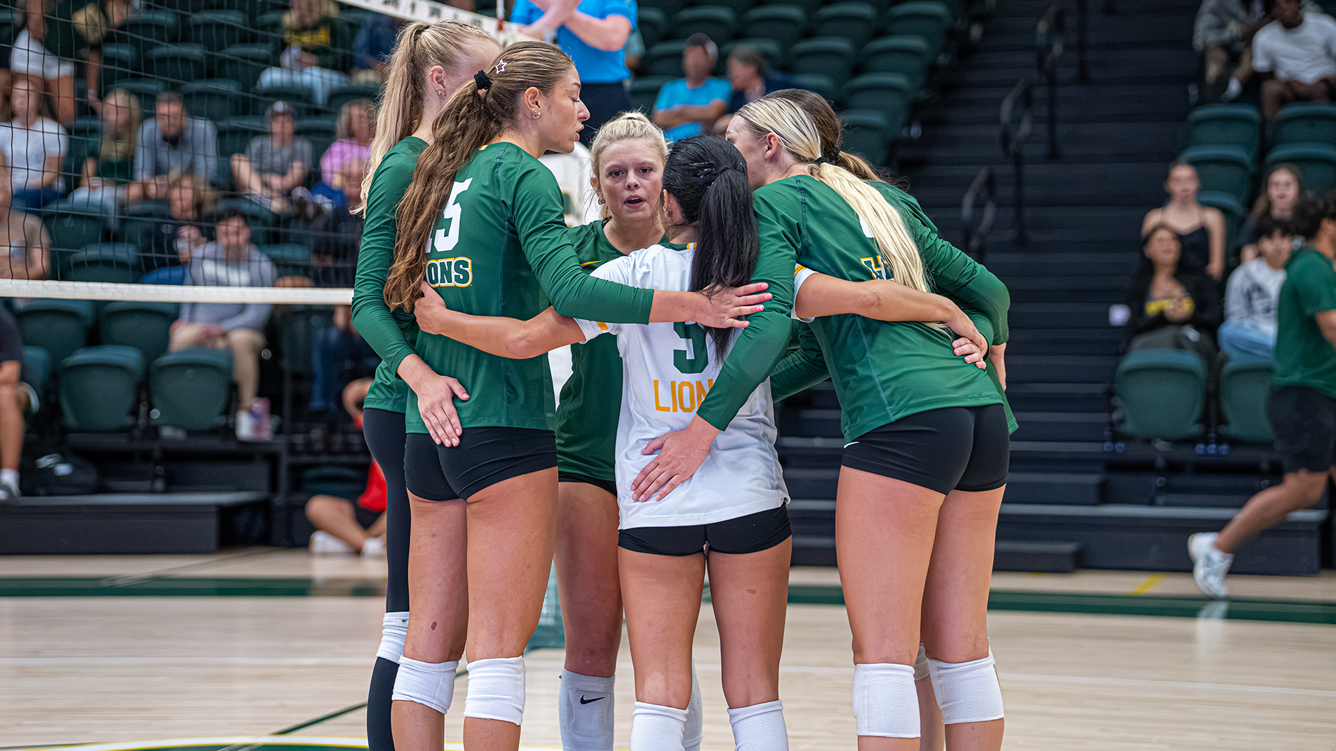 Huddle versus Tampa