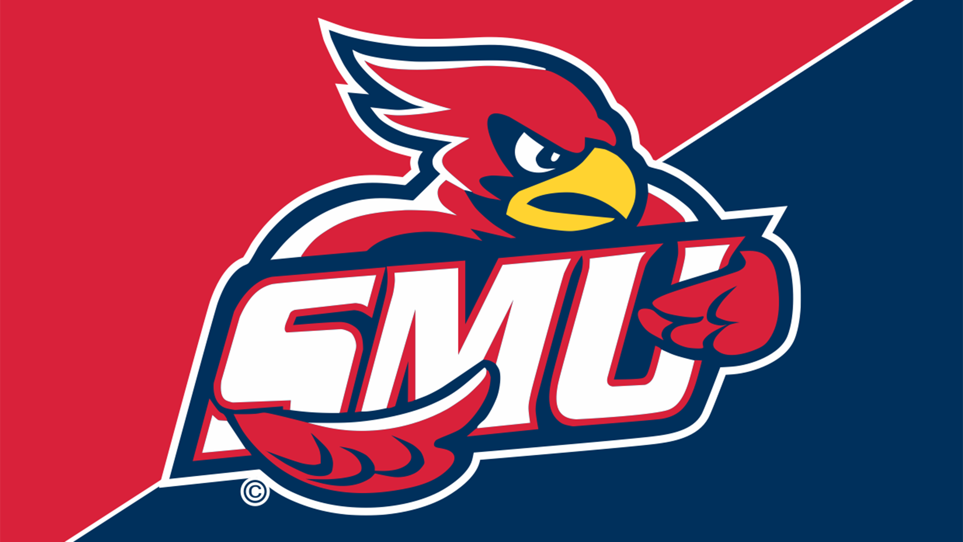 saintmarys-generic17