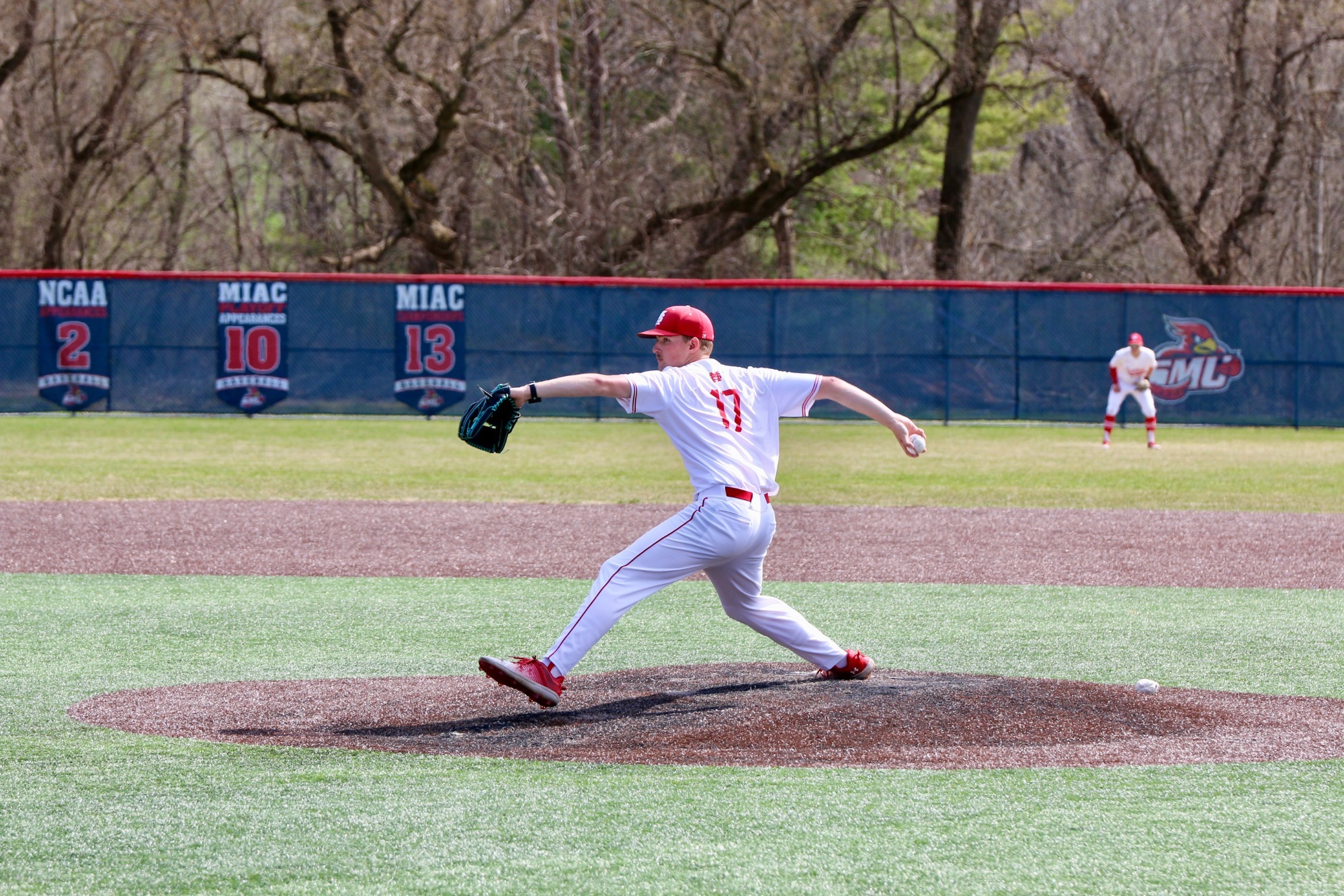 T-Allen.Woodcock.AVH