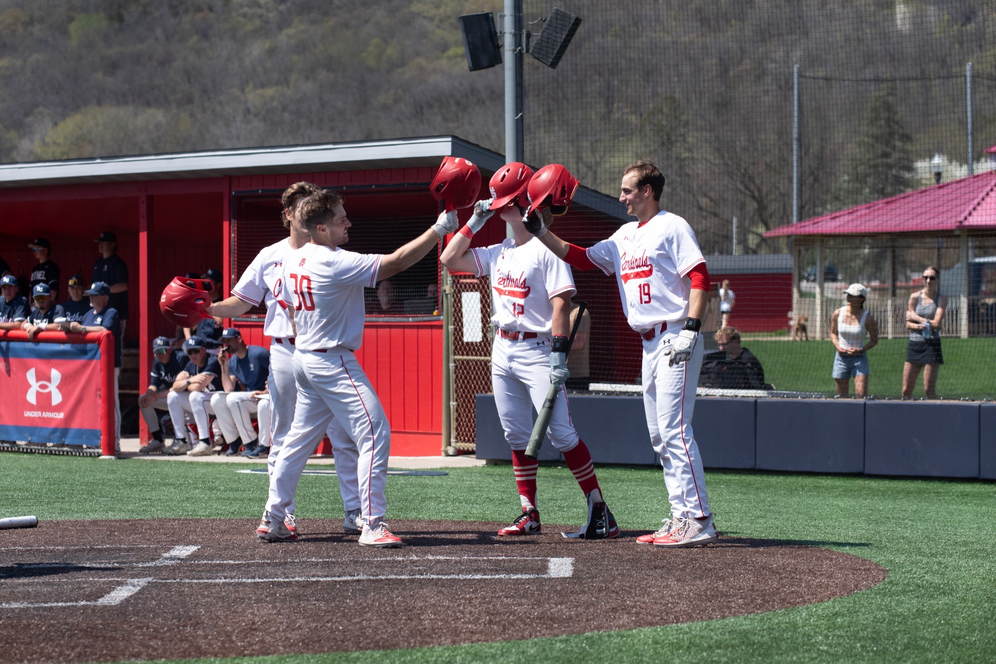 Baseball-Celebration